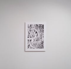 Barely There – Emma Summerton, Fine Art Photography, B/W, Hand-Embellished