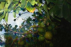 Hydrea #001 – Emma Summerton, Fashion, Model, Fine Art Photography, Colour, Art