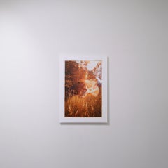 In the Caul – Emma Summerton, Fine Art Photography, Color, B/W, Hand-Embellished