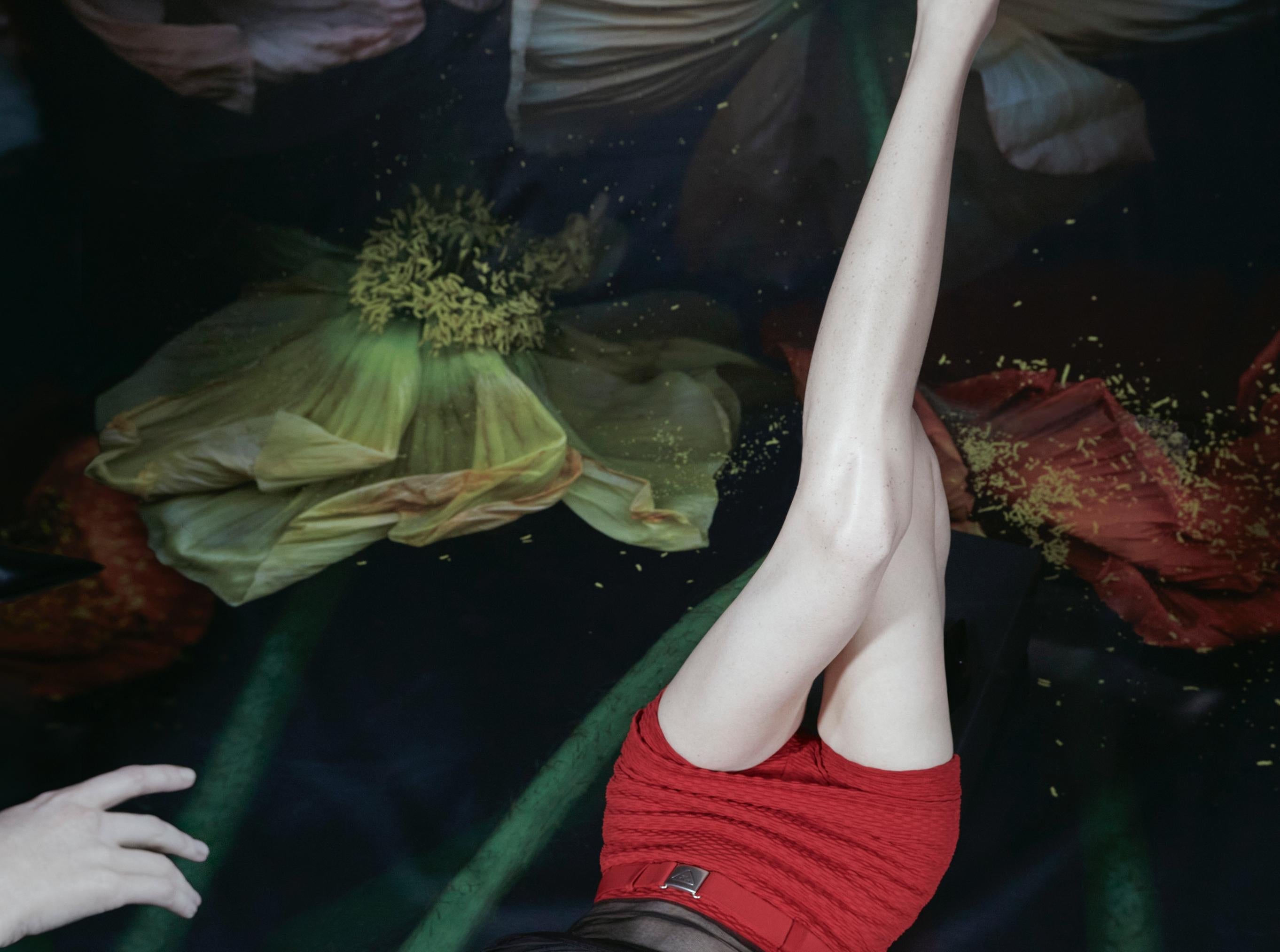 Noch nicht betitelt Emma Summerton, Mode, Modell, Kunstfotografie, Farbe im Angebot 3