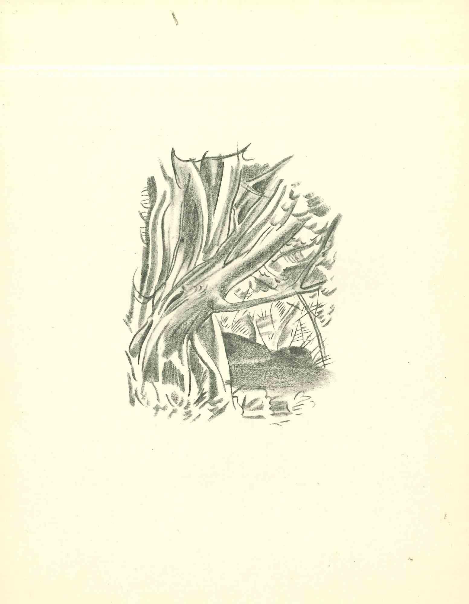 African Forest  - Original Lithograph by Emmanuel Gondouin - 1930s