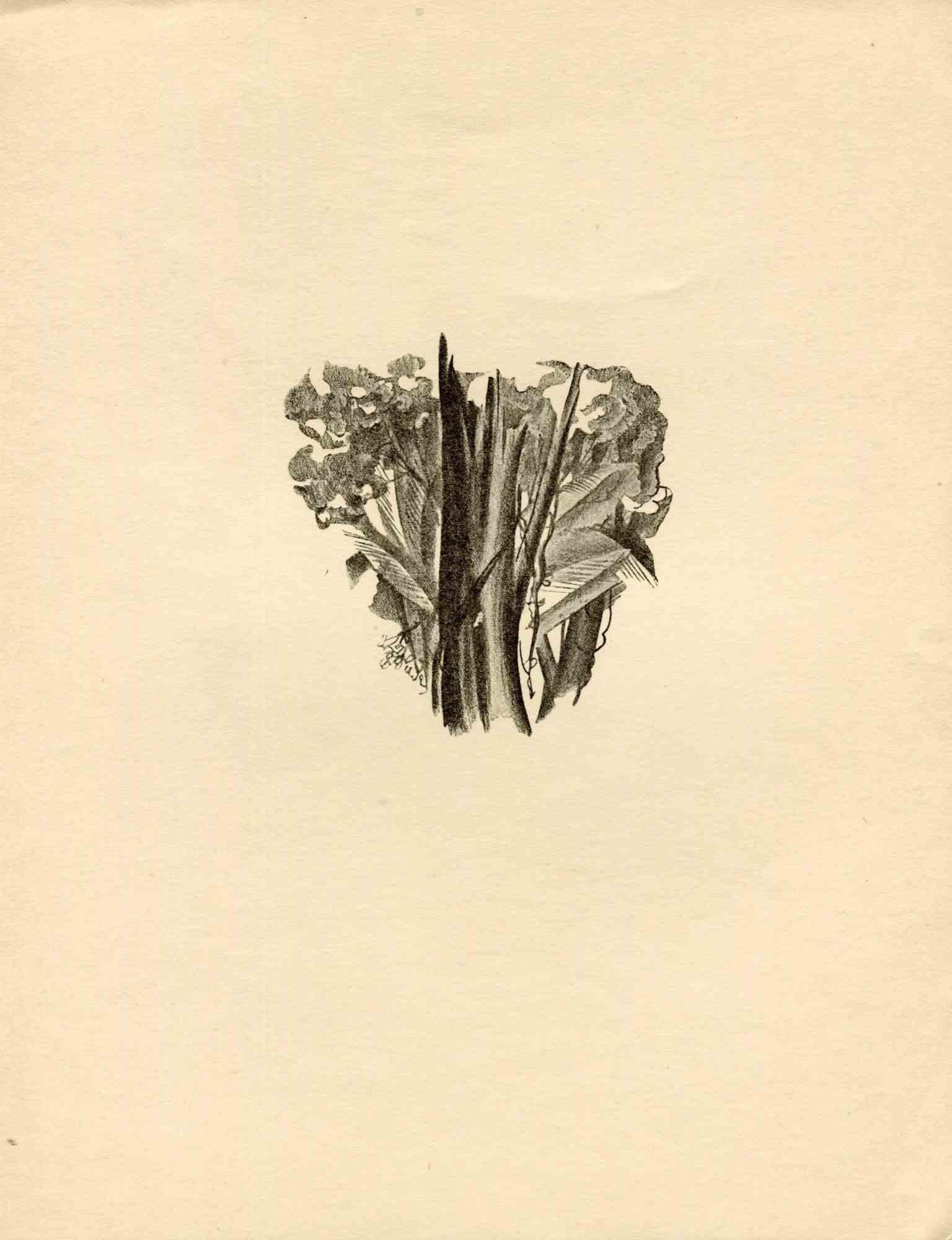 African Forest is an original lithograph realized in the early 1930s by Emmanuel Gondouin, (Versailles, 1883 - Parigi, 1934) 
 
The artwork is depicted through strong strokes and is part of a series entitled "Africa". 
 
 
Emmanuel Gondouin is a