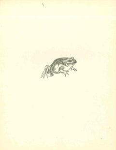The Frog - Original Lithograph by Emmanuel Gondouin - 1930s