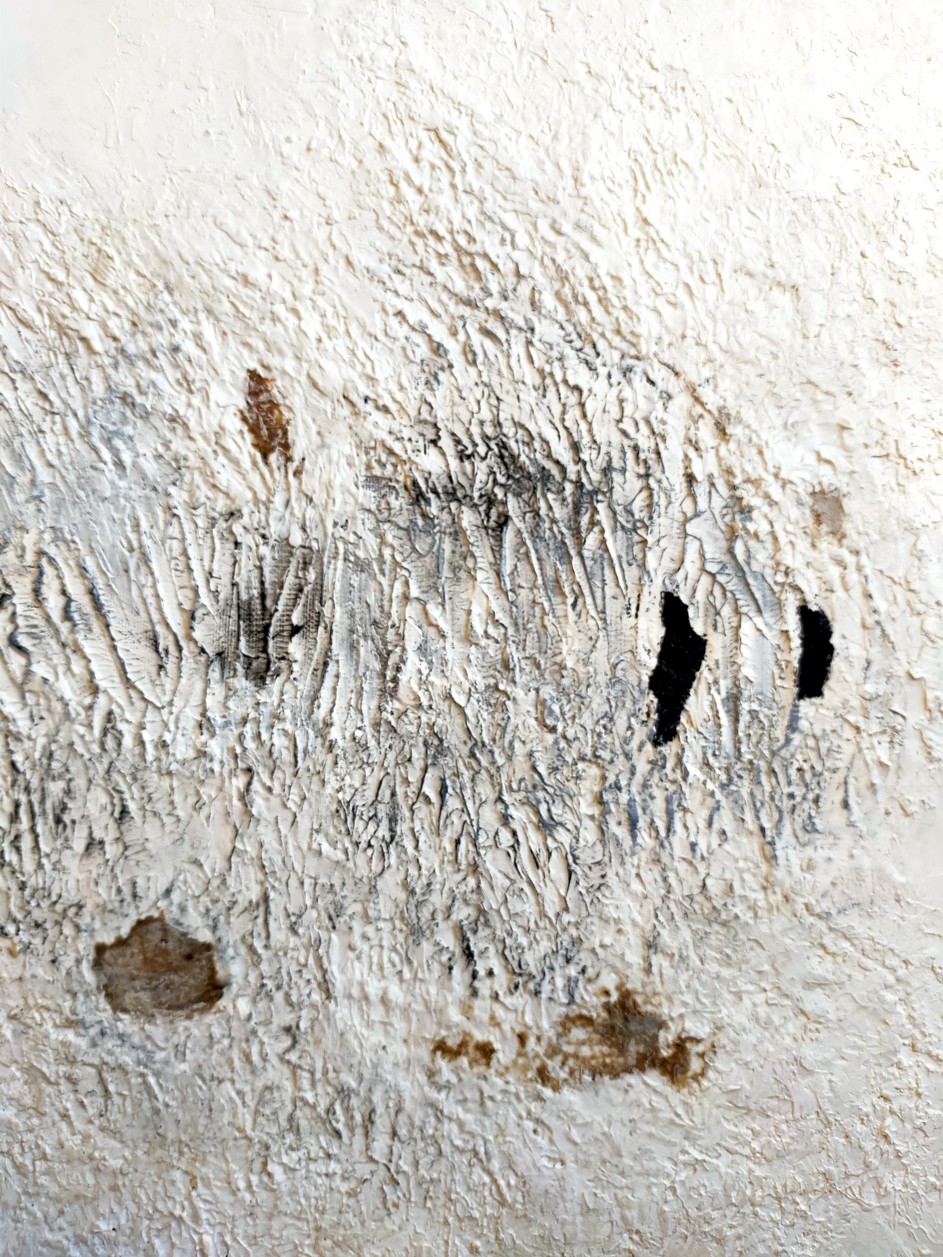 Nachdem ich kürzlich einen Trauerfall erlebt habe und mit Freunden zu tun hatte, die gesundheitlich sehr angeschlagen sind, fühle ich mich Anfang November nach dem Sinn des Lebens gefragt.
Warum müssen manche so viel Leid ertragen und andere