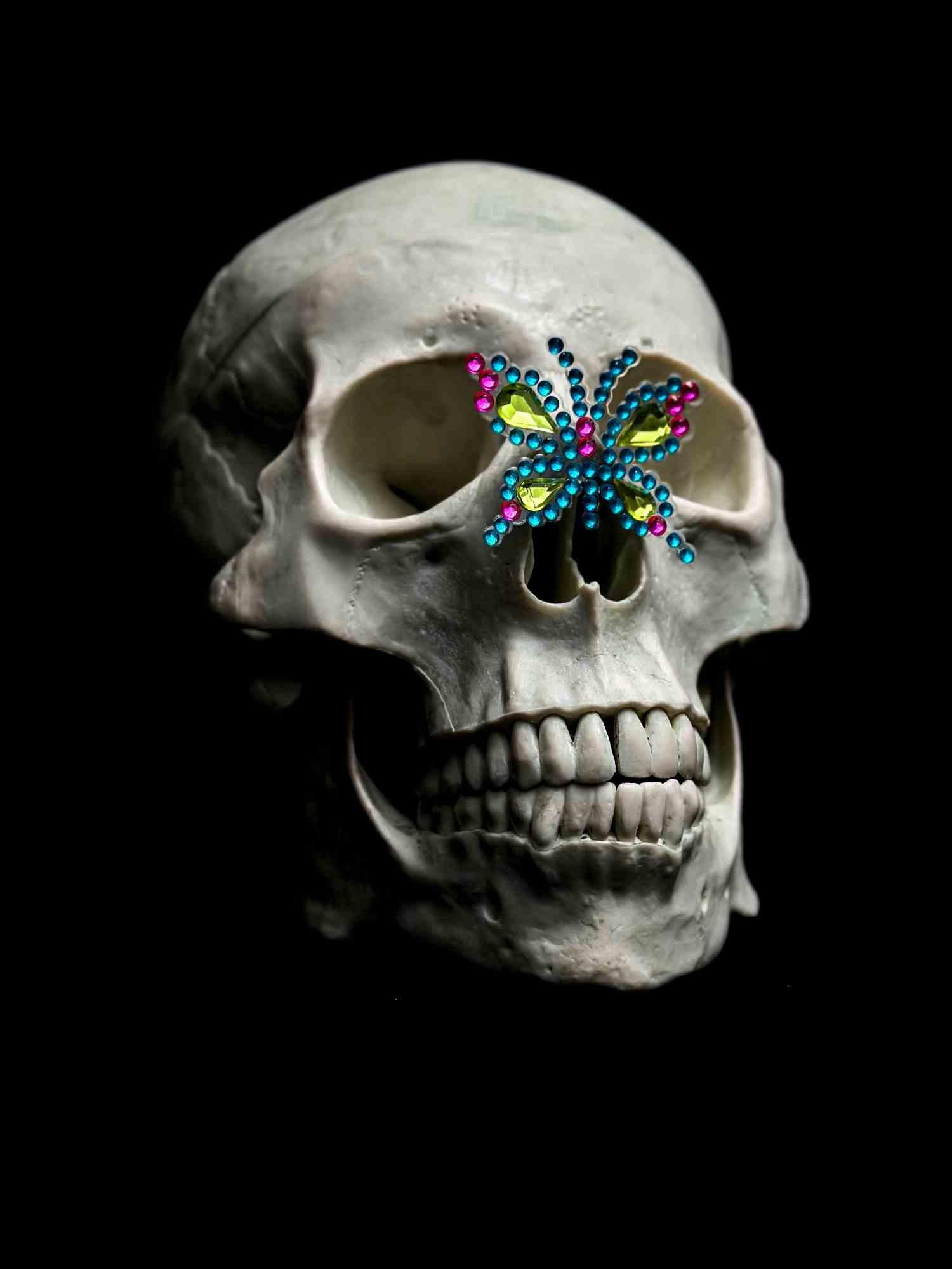 Still life photography with skull and butterfly, inspired by the symbolism and meaning of the butterfly of rebirth and the souls of our ancestors visiting us.