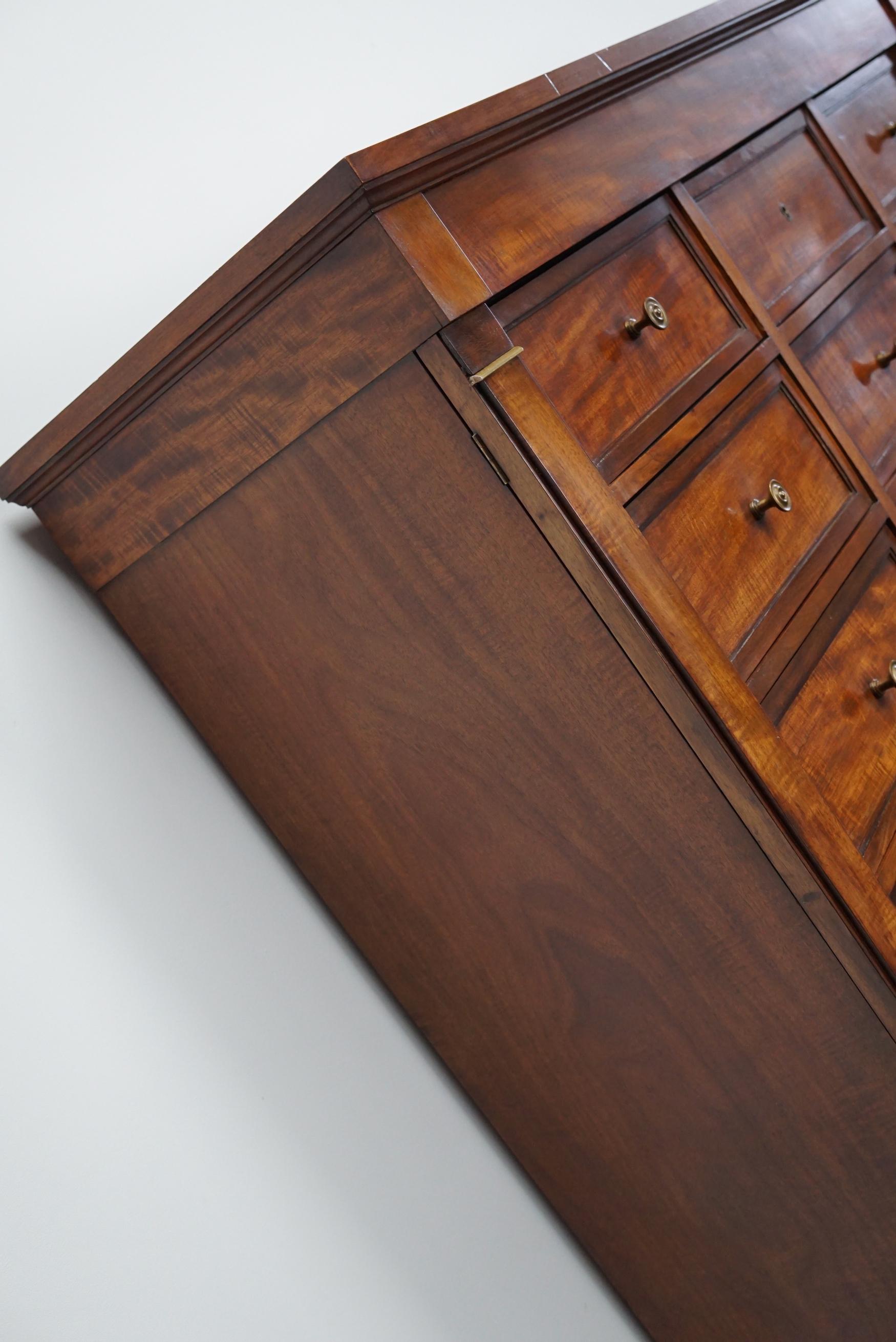 Empire Style French Mahogany Apothecary Cabinet / Filing Cabinet, 1920s 11