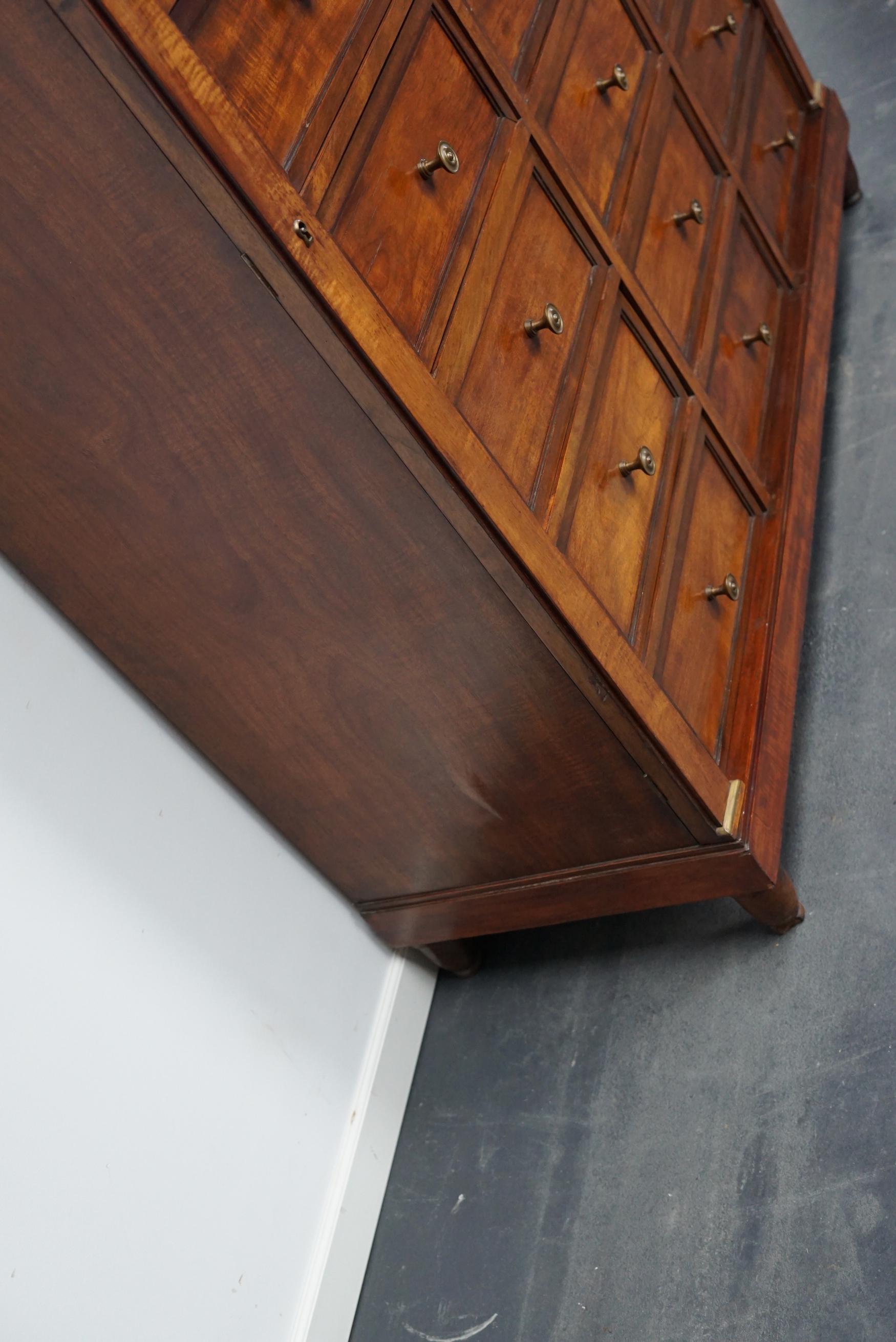 Empire Style French Mahogany Apothecary Cabinet / Filing Cabinet, 1920s 12