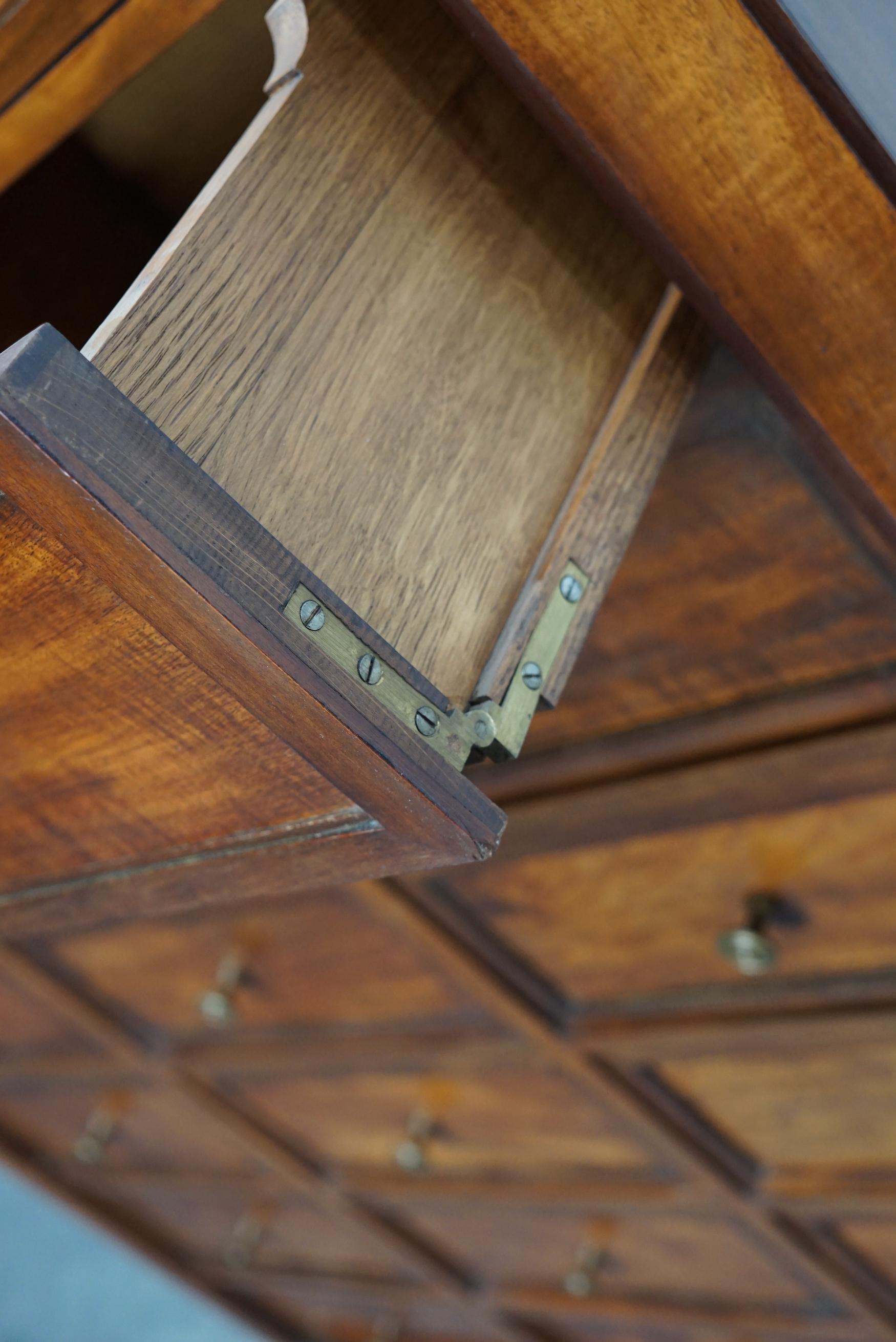 Empire Style French Mahogany Apothecary Cabinet / Filing Cabinet, 1920s 3