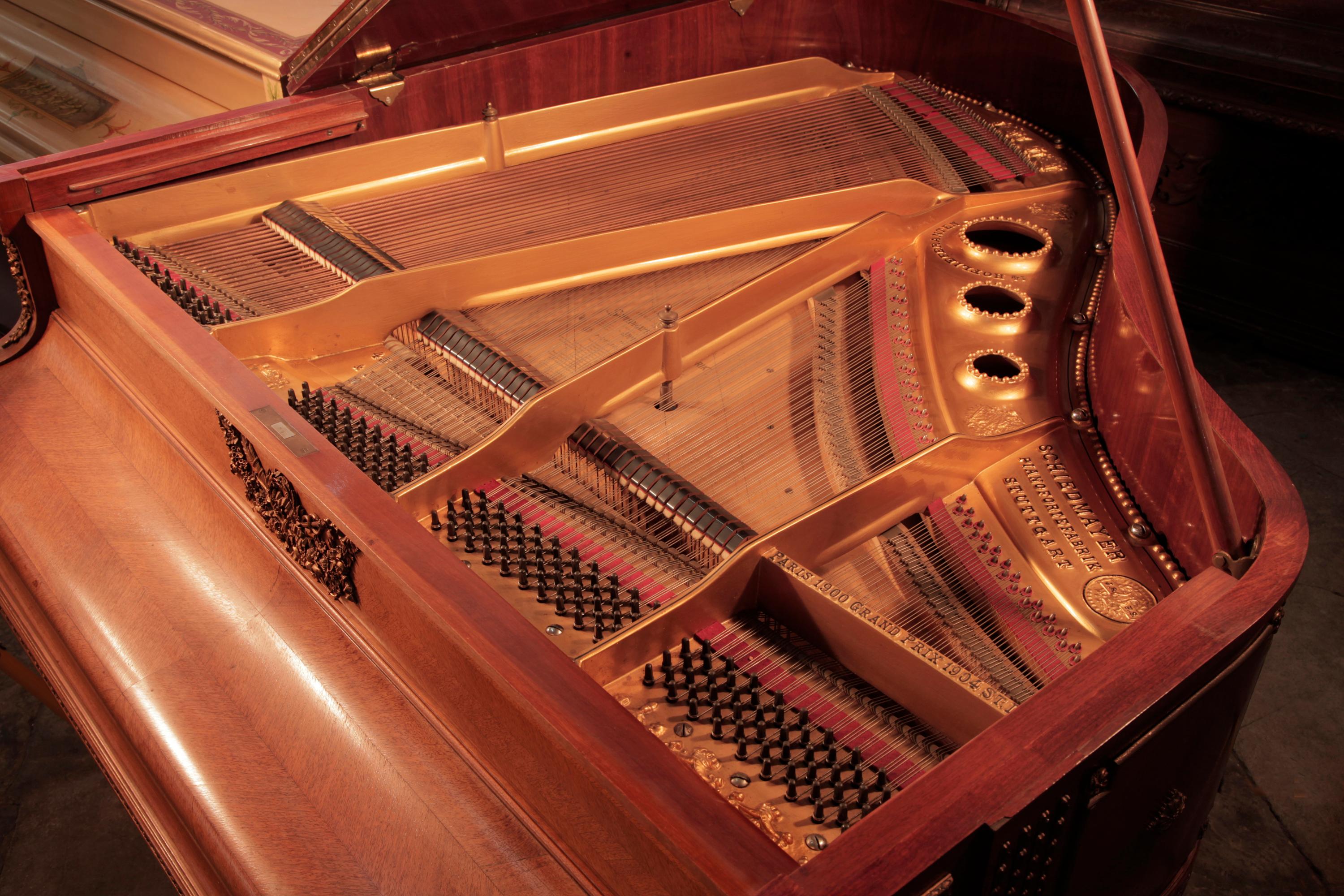 Piano à queue Schiedmayer de style Empire Montures en acajou taillé sur quartier et en bronze doré en vente 5