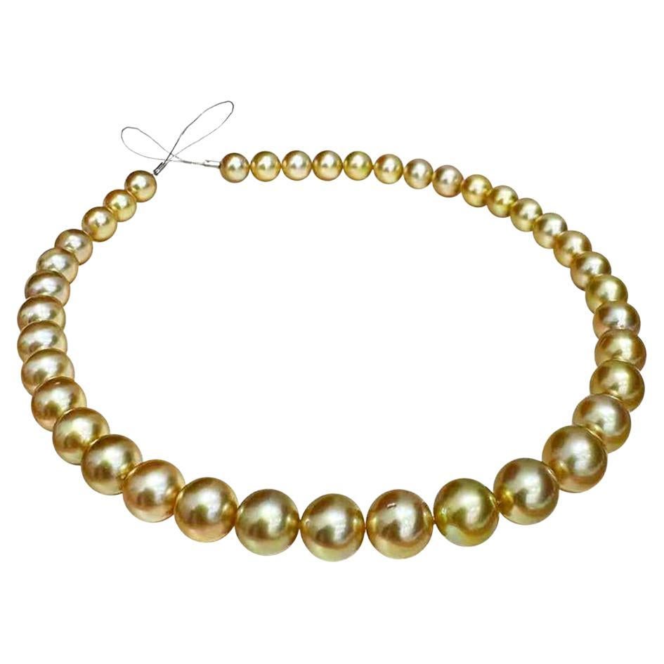 Empress Glow Golden South Sea Pearl Necklace