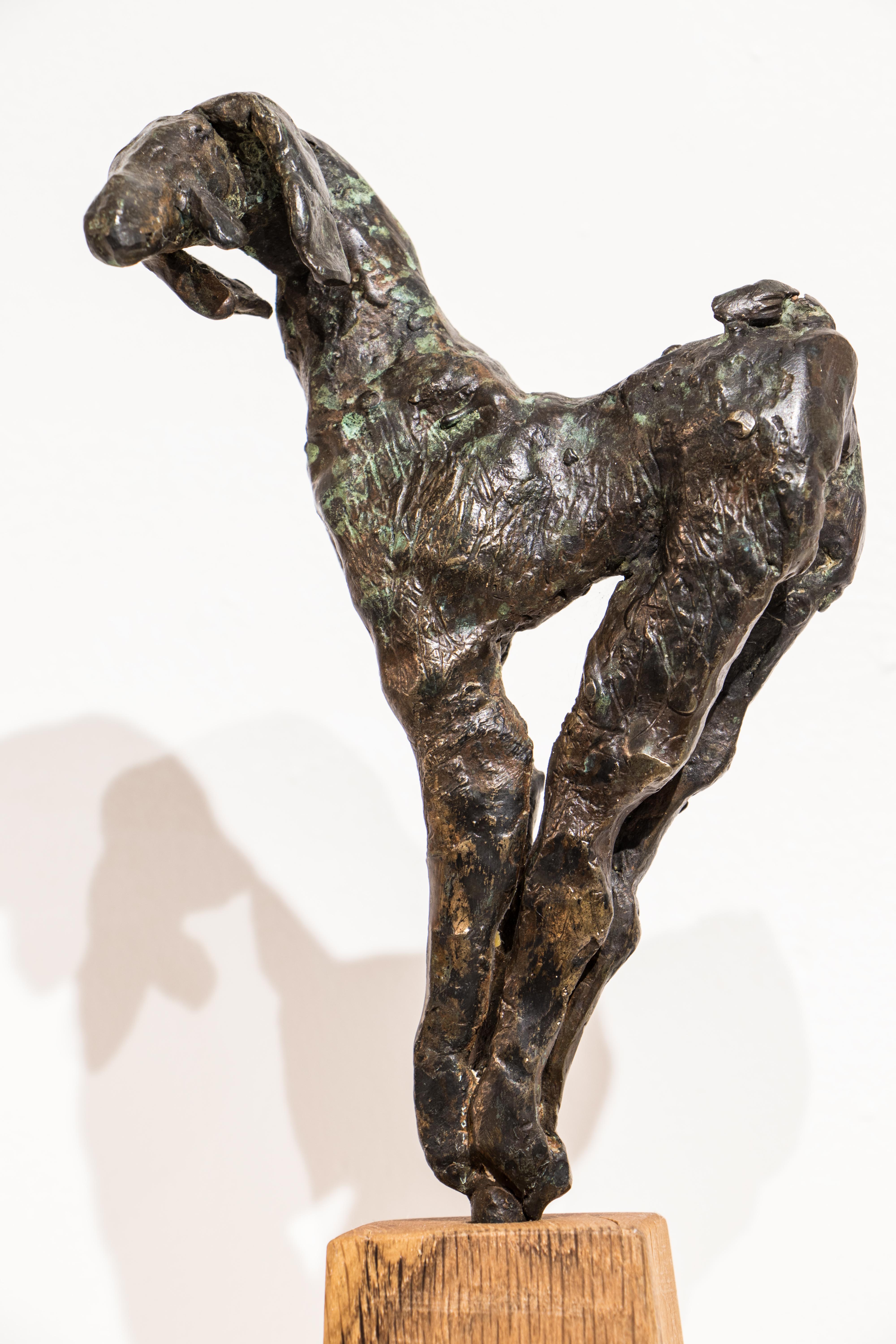 Using the lost wax technique, all Danuta's bronzes are one-off originals 
Free standing. Rests on carbonised oak block 
