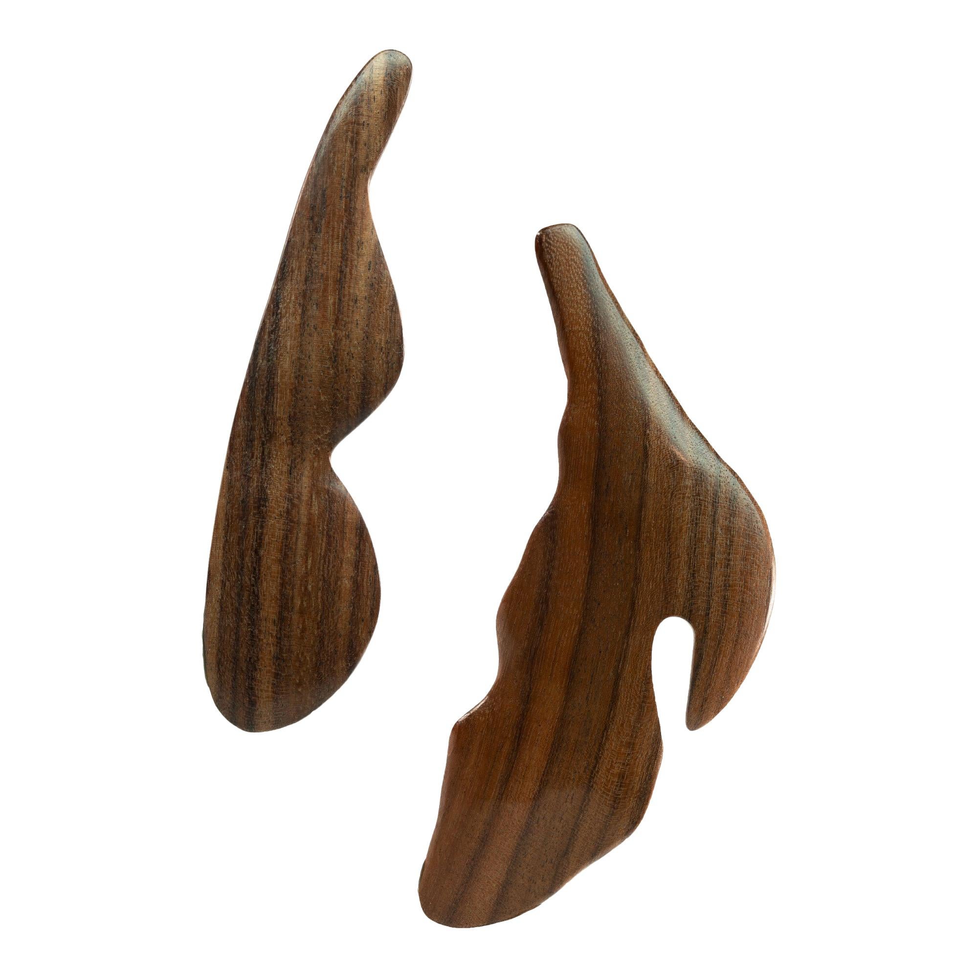 Enairo Rosewood Mismatched Earrings For Sale