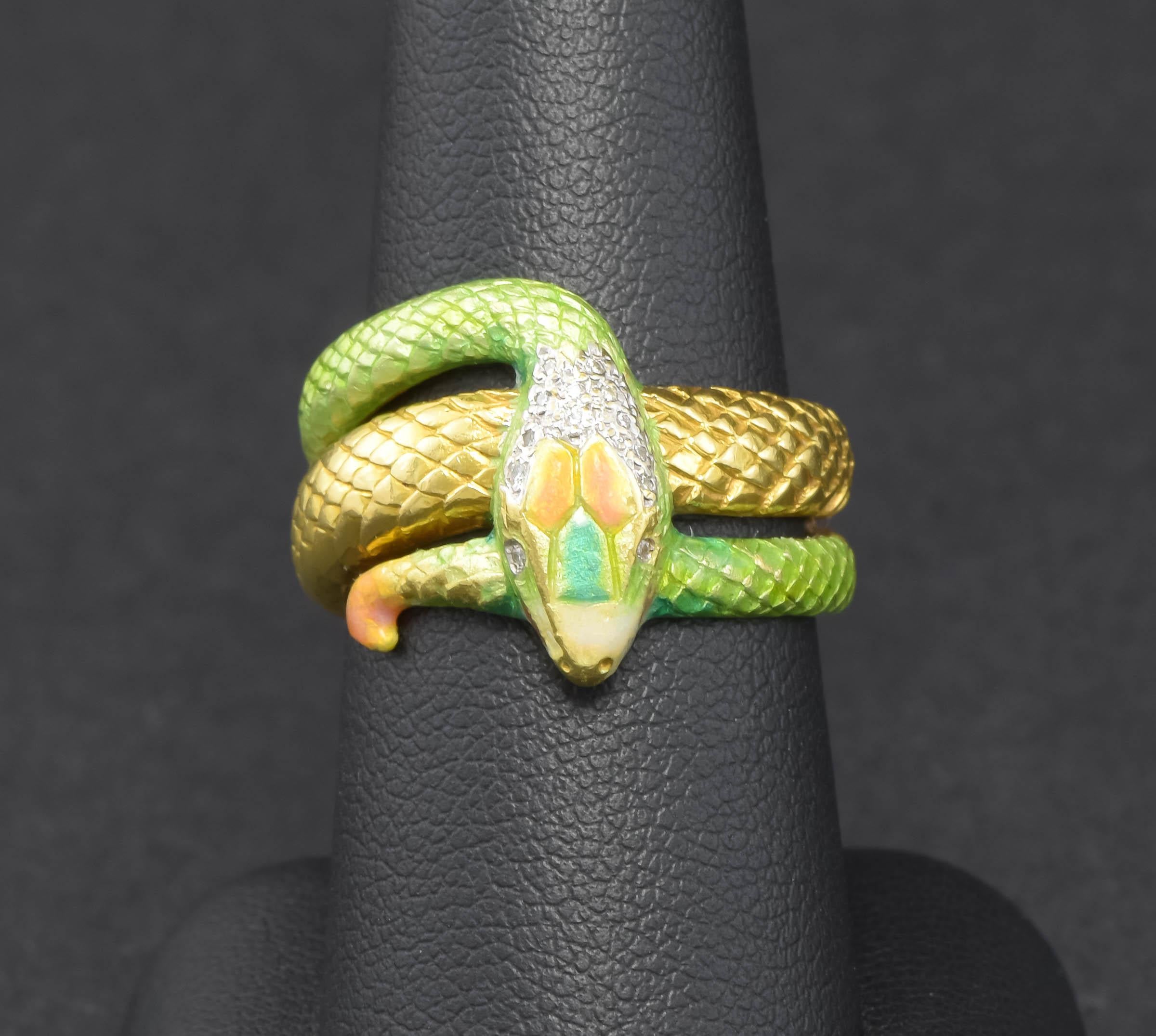 green and gold snake