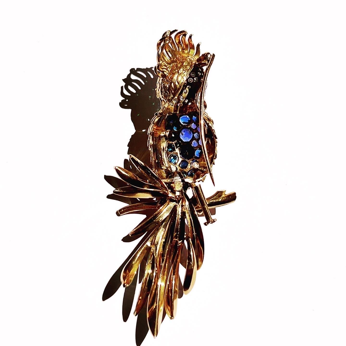 Enamel 18k White & Yellow Gold, Pavé Setting Sapphire Diamond Parrot Brooch In Good Condition For Sale In Pamplona, Navarra