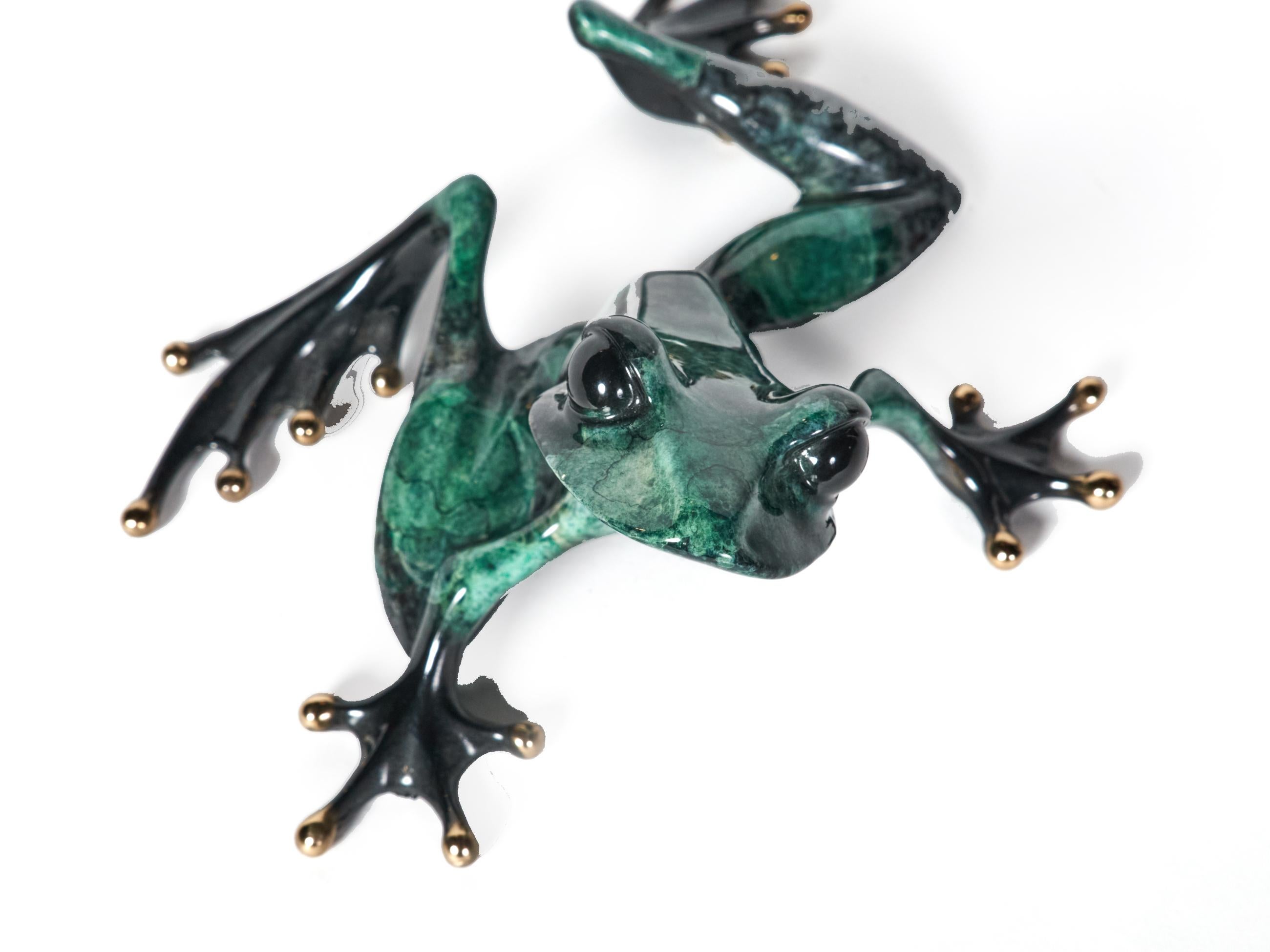 Beguiling limited edition bronze frog by highly collected Tim Cotterill. The Frogman . In excellent condition without issue or losses this guy will steel your heart. He has deep soulful eyes. Beautifully hand painted enamel in hues of green. Signed