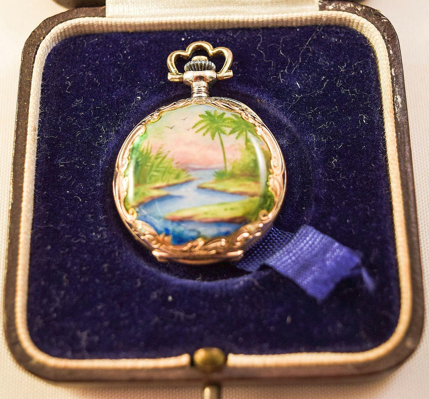 Enamel Pocket Watch Hunter case tropical landscapes and Heron amazing condition 14