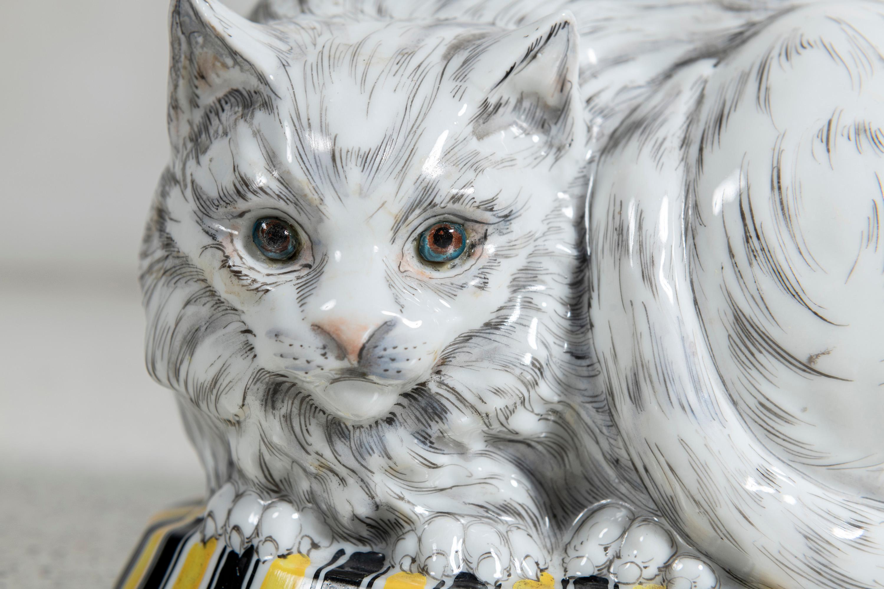 lampe chat