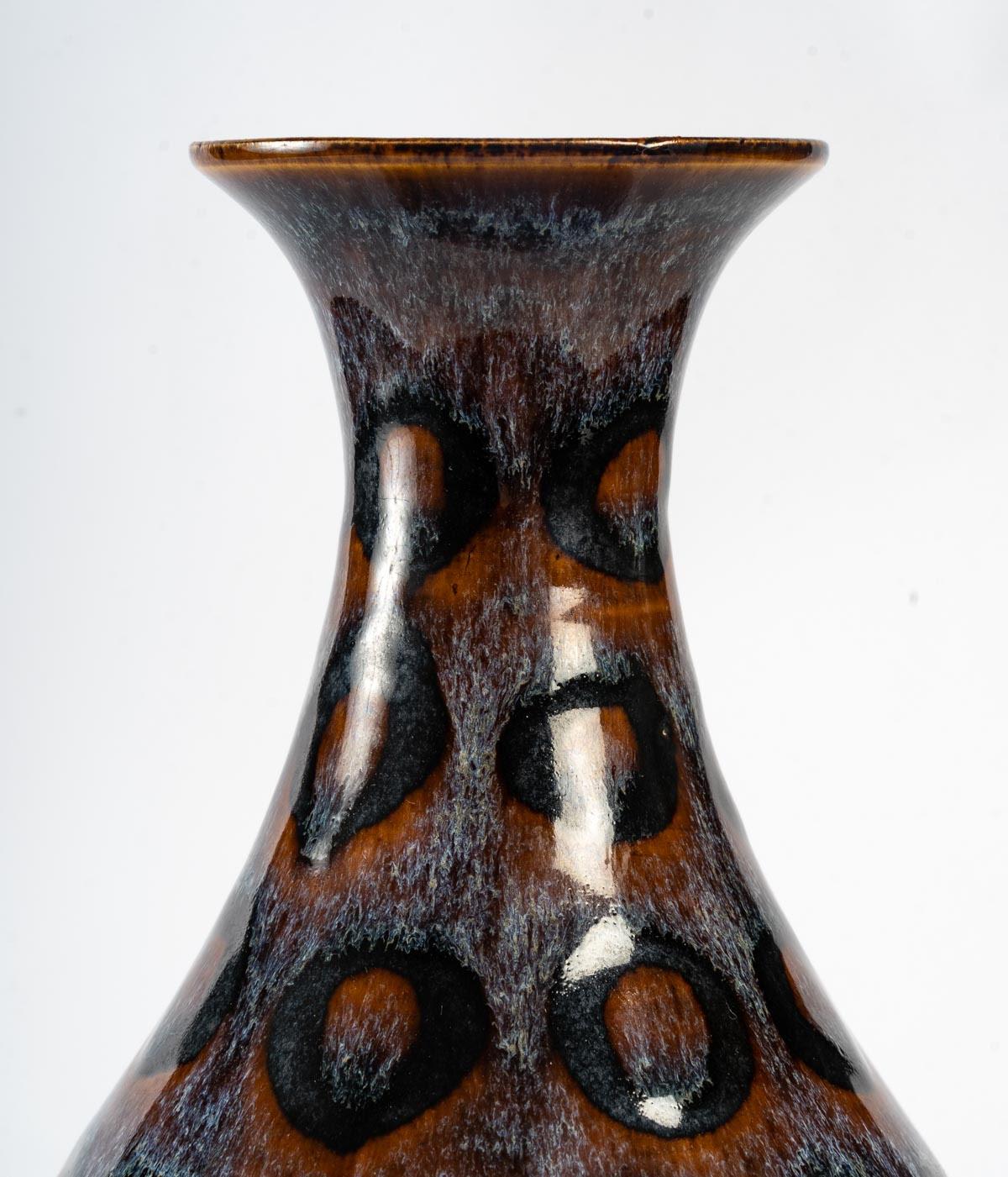 Chinese Enamelled Stoneware Vase with a Rare Decoration