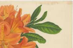Enchanted Blossoms: Masterpieces of Botanical Art from Van Houtte's Florilegium