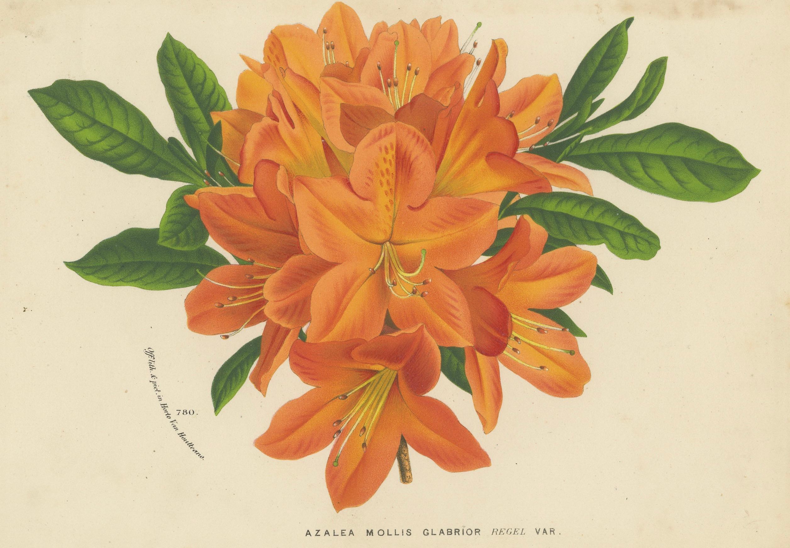 Paper Enchanted Blossoms: Masterpieces of Botanical Art from Van Houtte's Florilegium For Sale