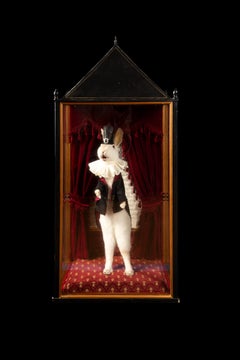 Enchanted Illusions: Taxidermy Magician Rabbit Diorama
