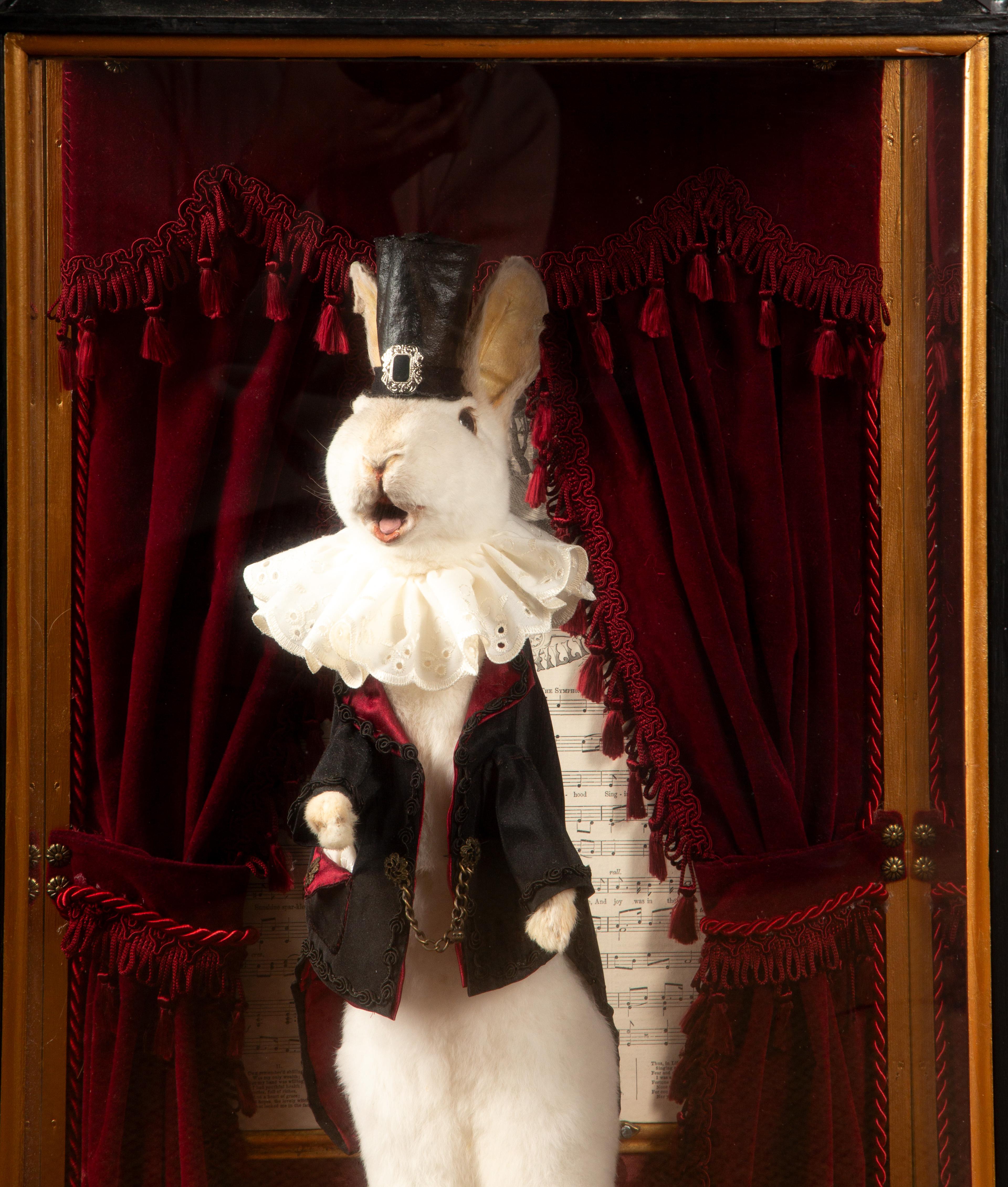 Victorian Enchanted Illusions: Taxidermy Magician Rabbit Diorama For Sale