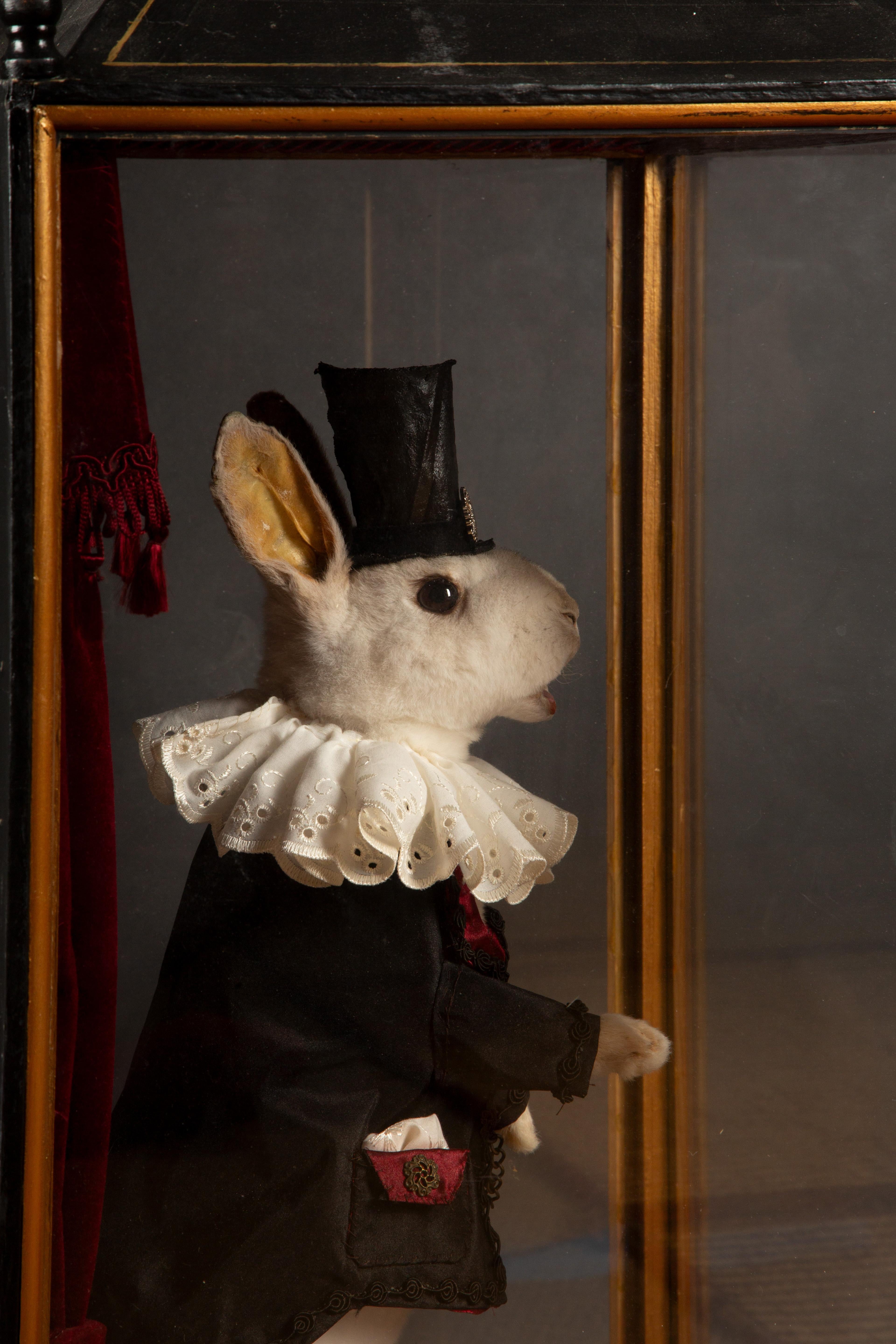Américain Illusions enchantées : Taxidermy Magician Rabbit Diorama en vente