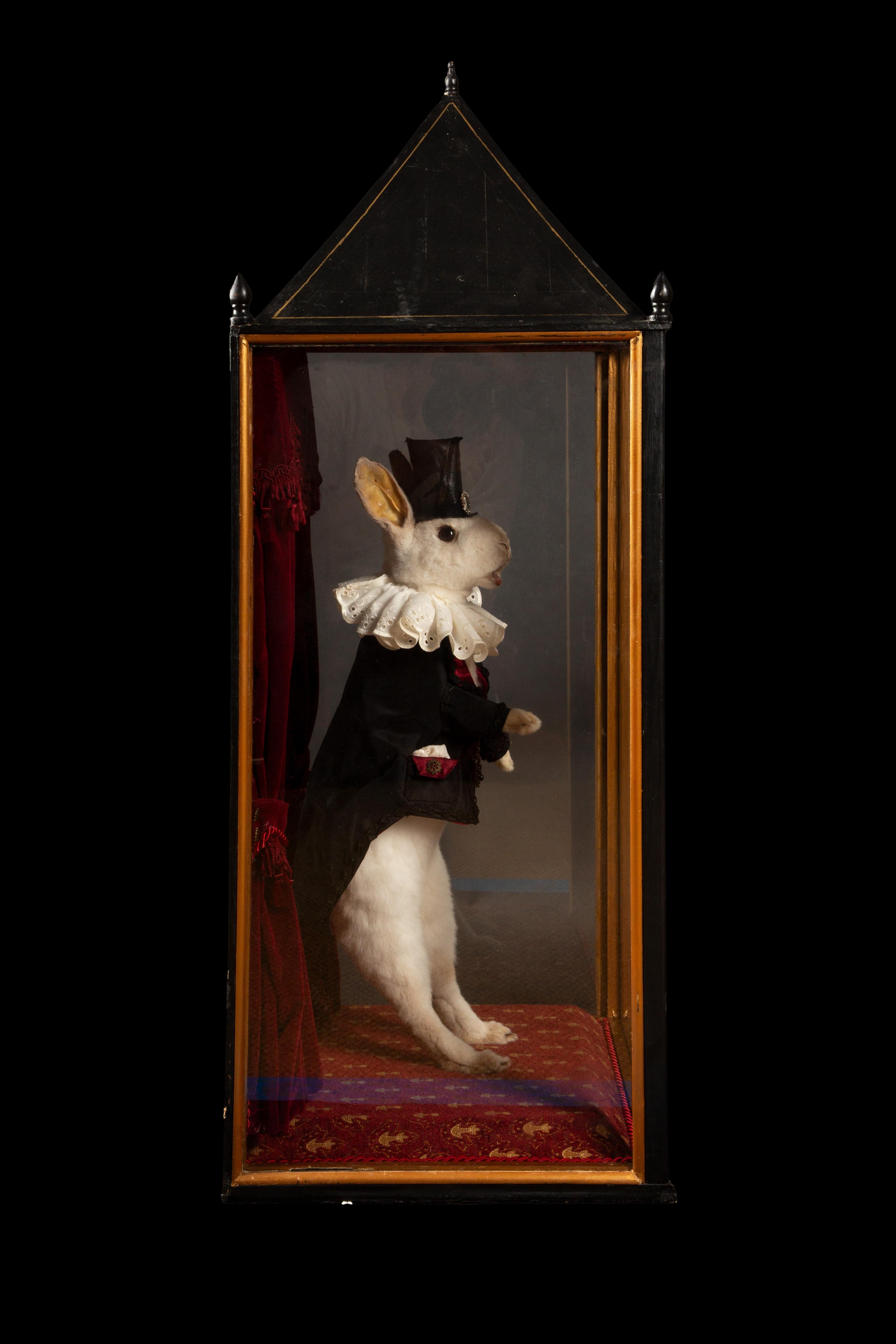 Enchanted Illusions: Taxidermy Magician Rabbit Diorama In Excellent Condition For Sale In New York, NY