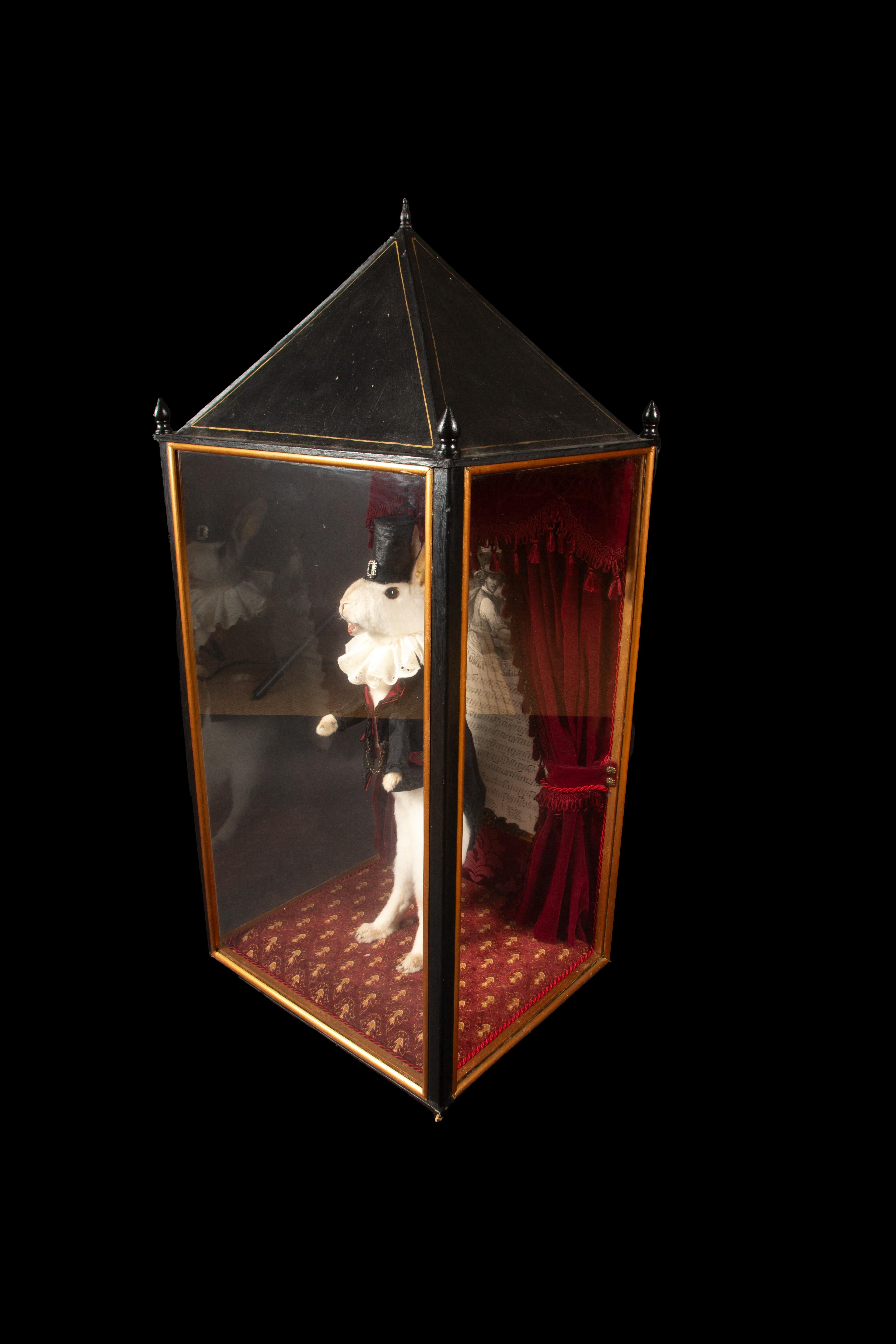 Enchanted Illusions: Taxidermie, magischer Kaninchen Diorama, Diorama (21. Jahrhundert und zeitgenössisch) im Angebot