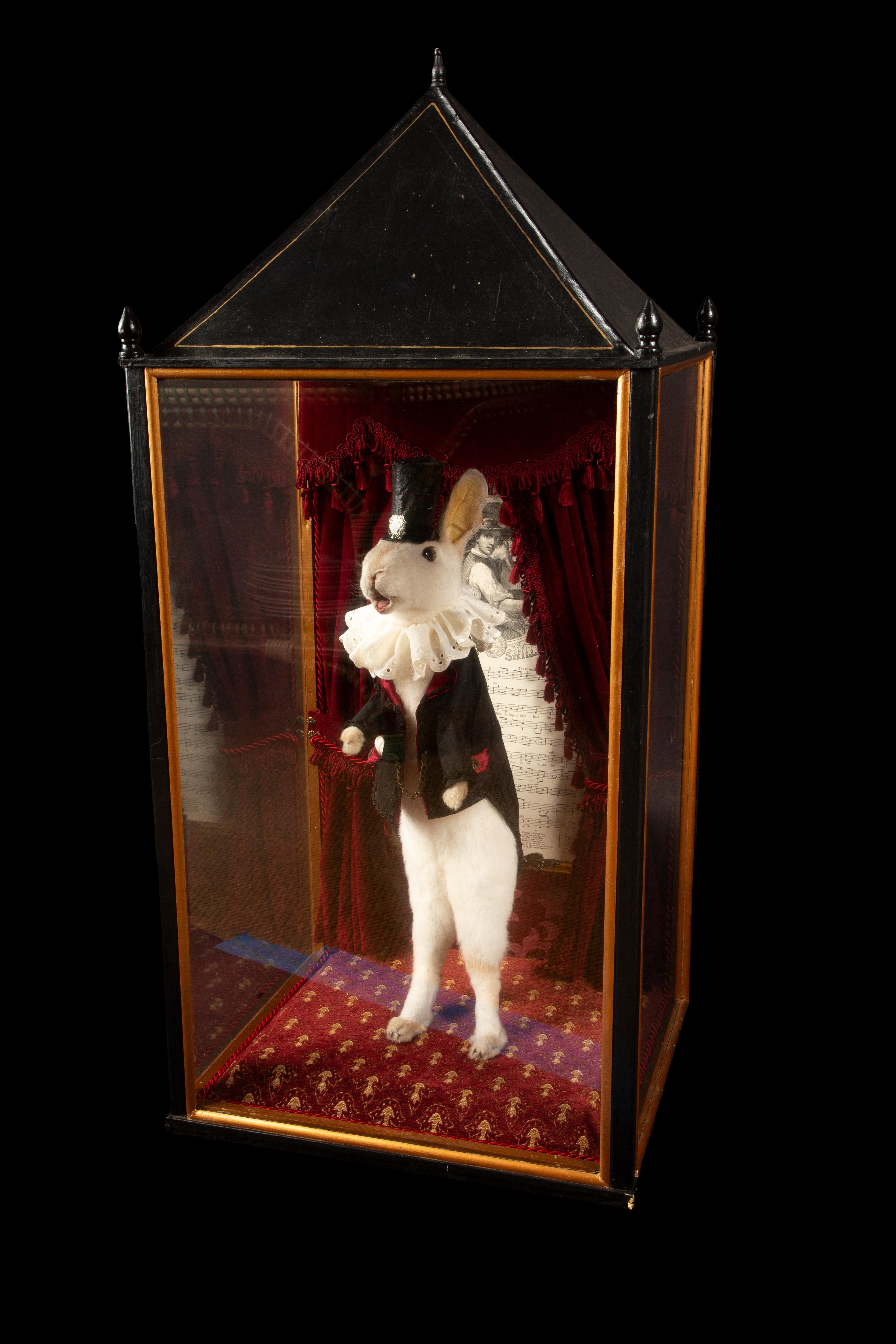 Fur Enchanted Illusions: Taxidermy Magician Rabbit Diorama For Sale