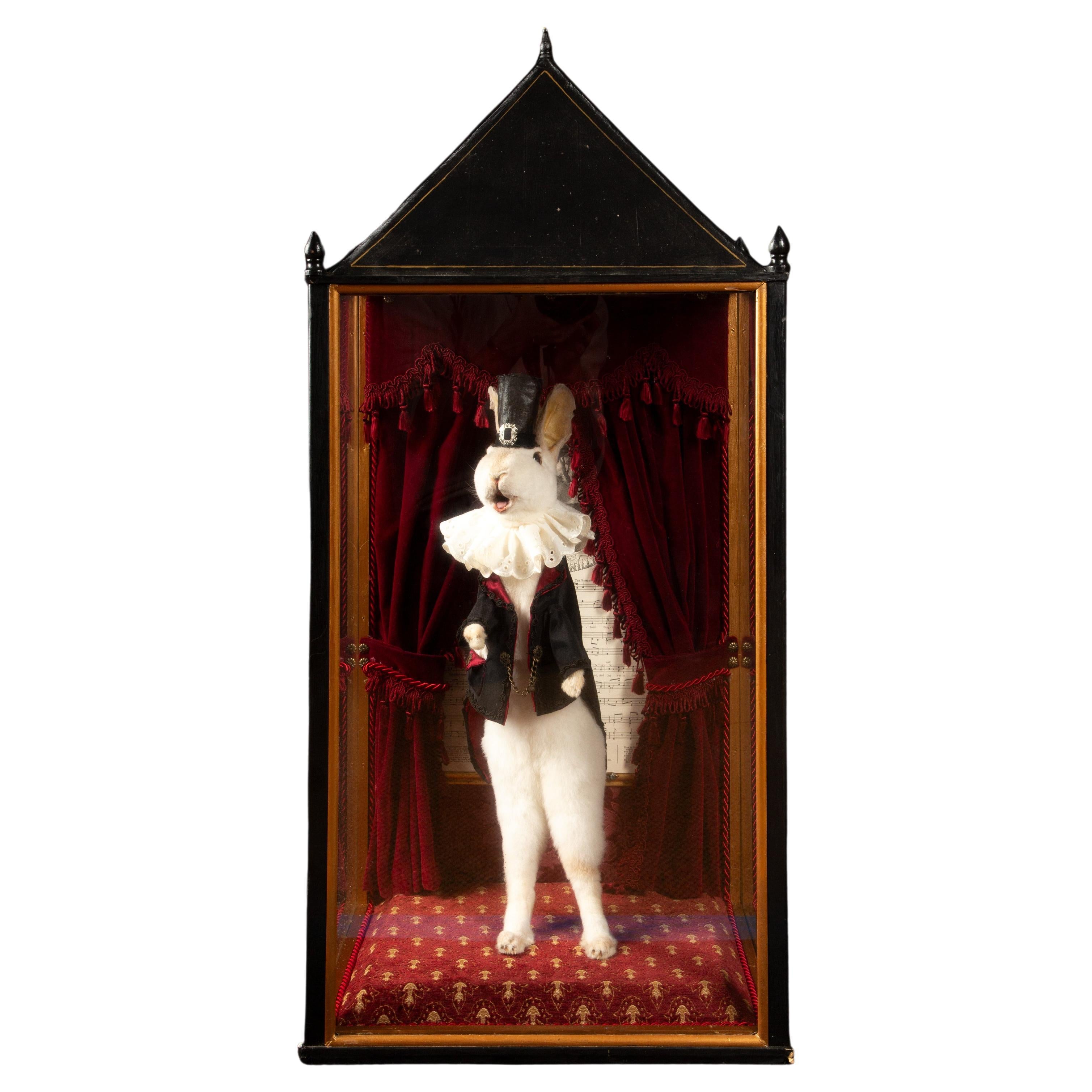Enchanted Illusions: Taxidermy Magician Rabbit Diorama For Sale
