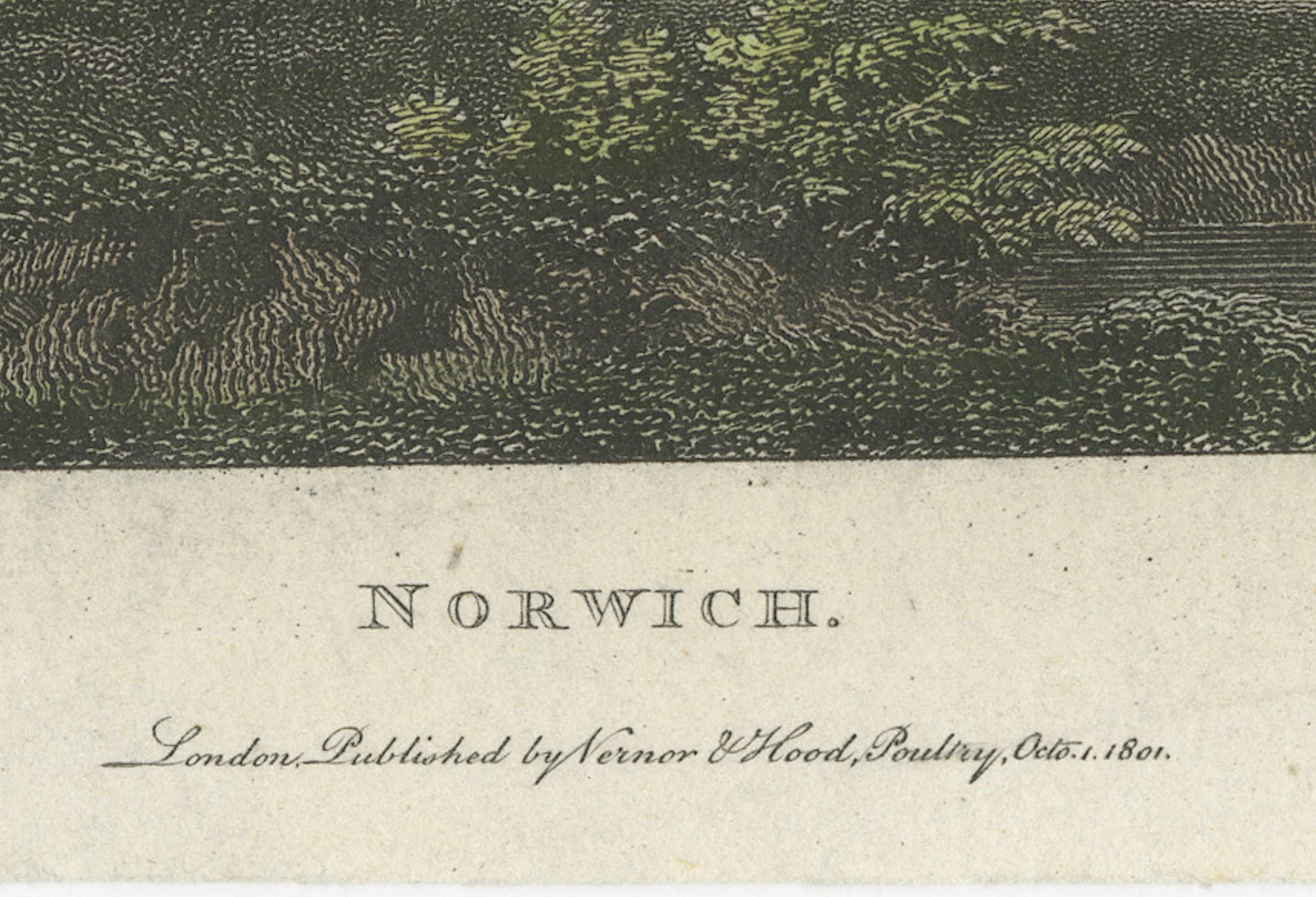 Paper Enchanting Norwich: A Historical 1801 Engraved View by W. Angus and E. Dayes For Sale
