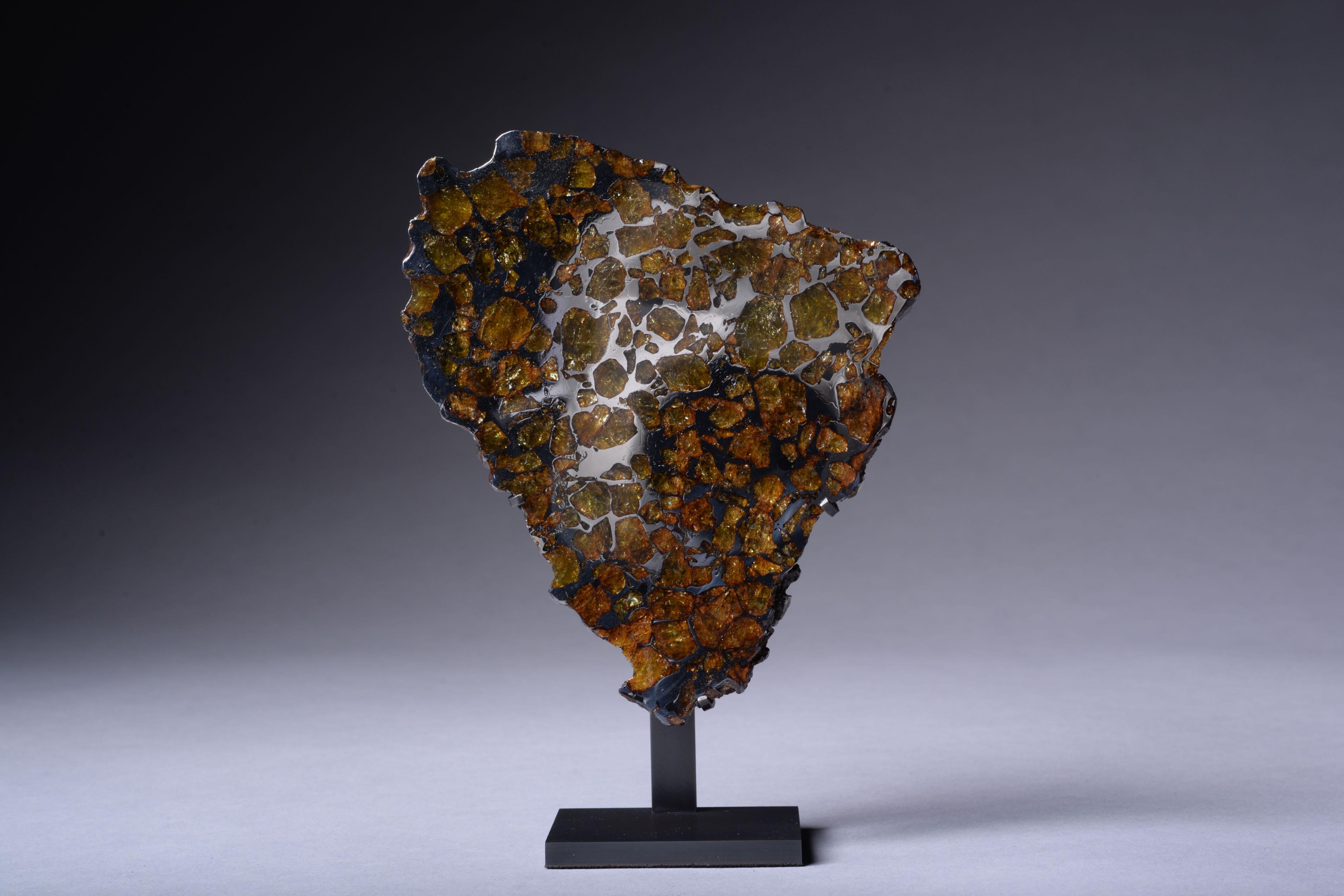 Coupe d'extrémité de la météorite d'Imilac Excellent état - En vente à London, GB