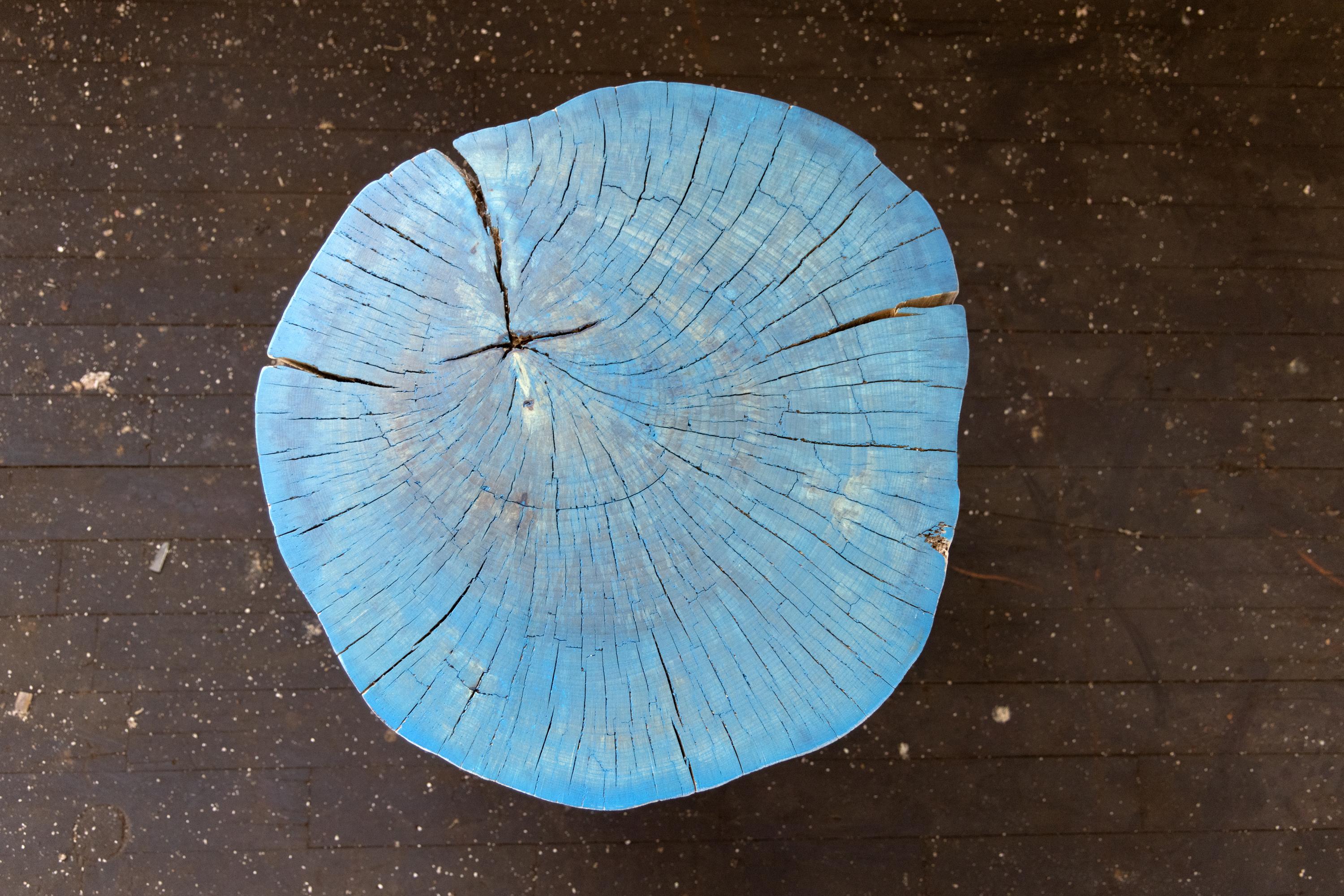 Runder Beistelltisch mit Endrost aus blauem und hellem Holz mit schwarzer Patina und Stahlbeinen (amerikanisch) im Angebot