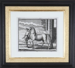Georg Engelhard Von Löhneisen: 18th Century Engravings of Horses, Set of 12