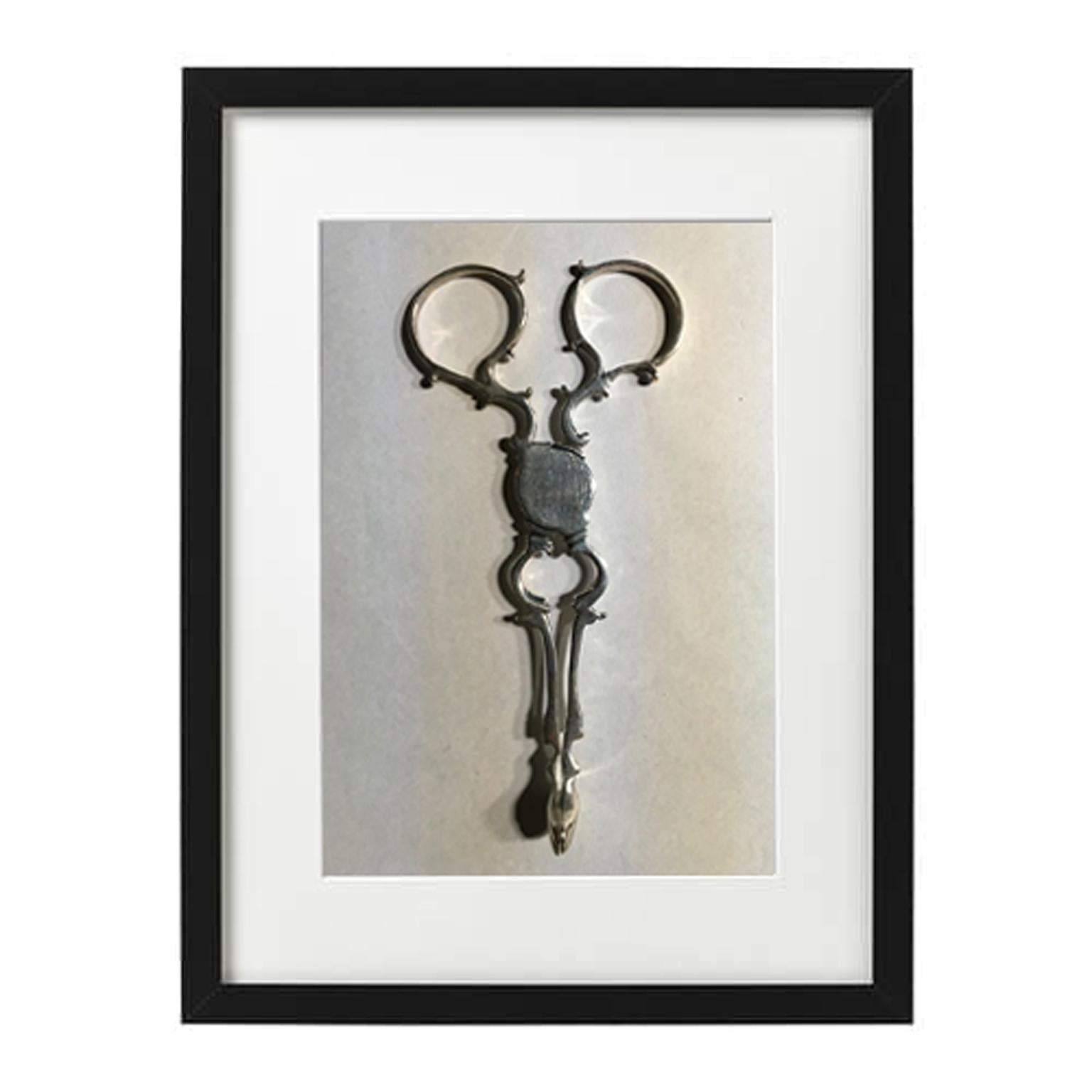 England, London  18th Century pair of sterling silver sugar nips put in wooden black frames with glass. The wooden frames are a contemporary production of  21st Century

This pair of beautiful 18th Century sterling silver sugar nips is  useful to