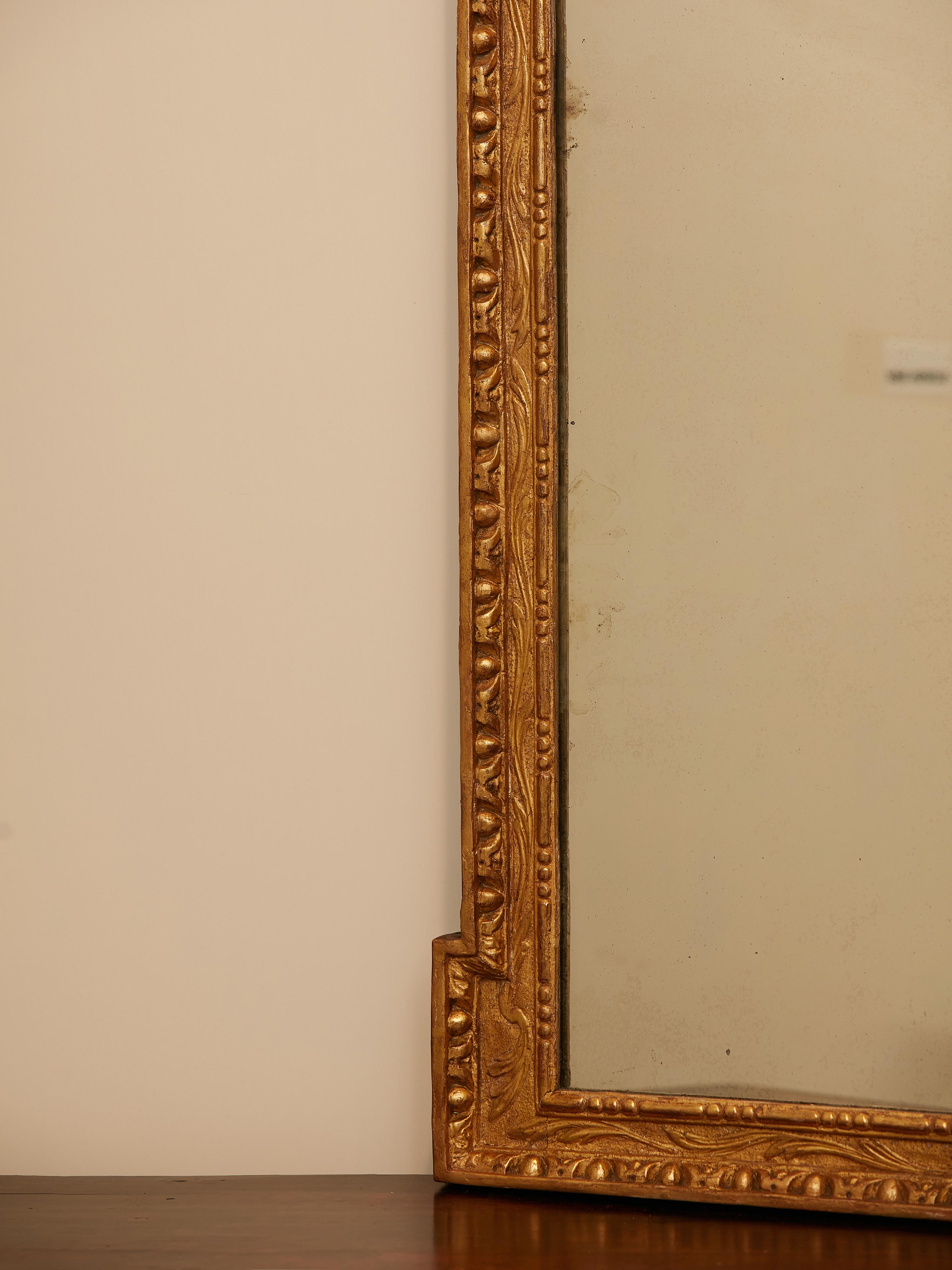 English 1800s Georgian Period Carved Giltwood Mirror with Shell and Foliage In Good Condition In Atlanta, GA