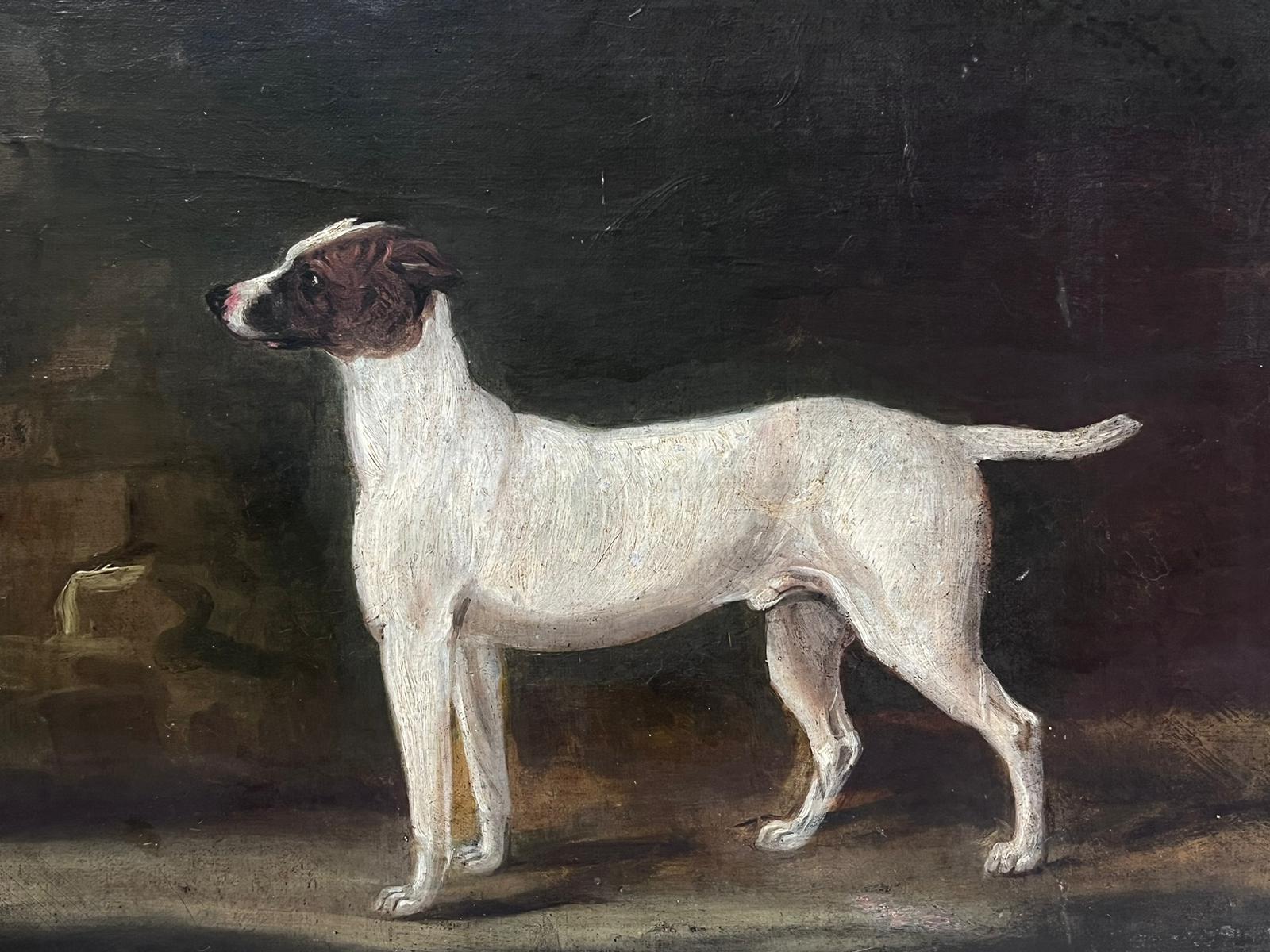 Il cane Terrier
English School, anni 1830 circa
dipinto a olio su tela su tavola, incorniciato
incorniciato: 14,5 x 16,5 pollici
tavola: 12 x 15 pollici
provenienza: collezione privata, Gloucestershire, Regno Unito
condizioni: buone e solide