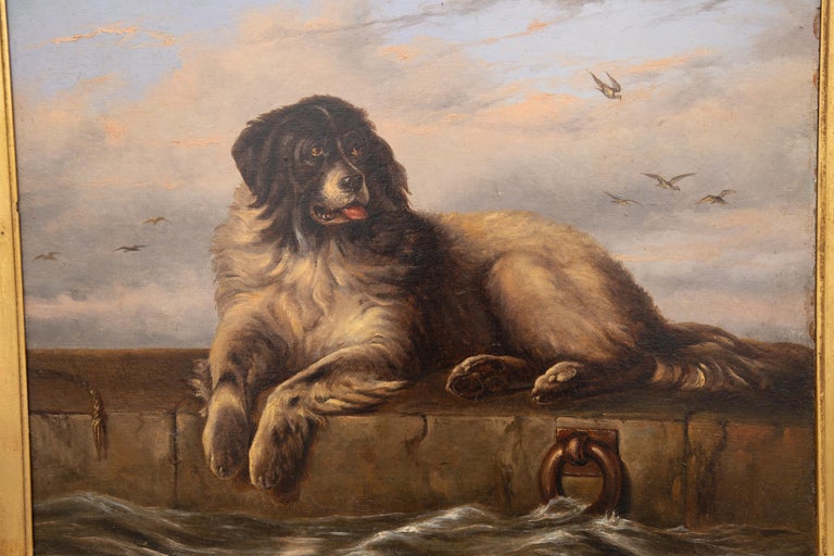 English 1870s Oil On Board Newfoundland Dog Painting After Sir