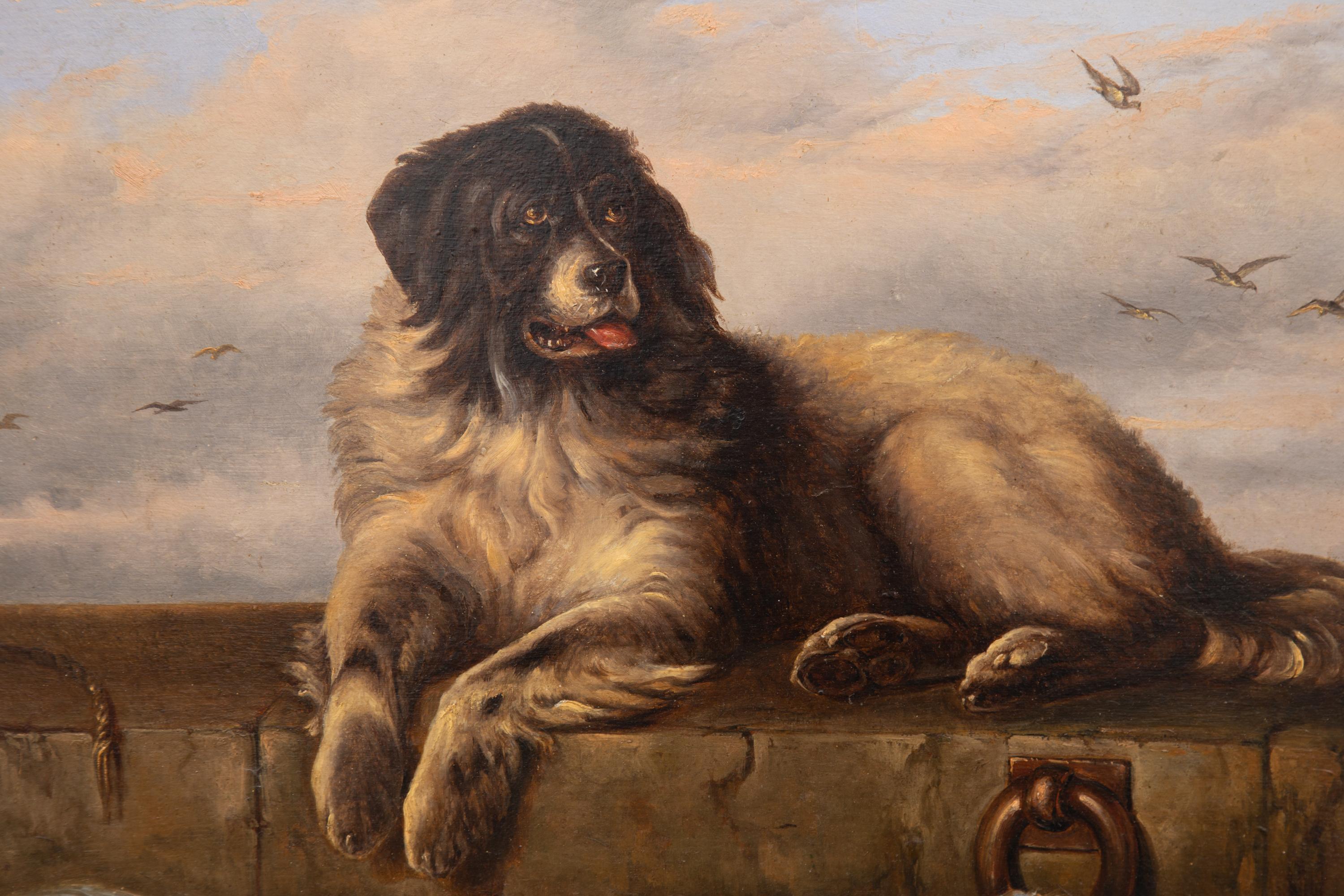 Englisch 1870er Öl auf Karton Neufundländer Hund Gemälde nach Sir Edwin Landseer im Angebot 1
