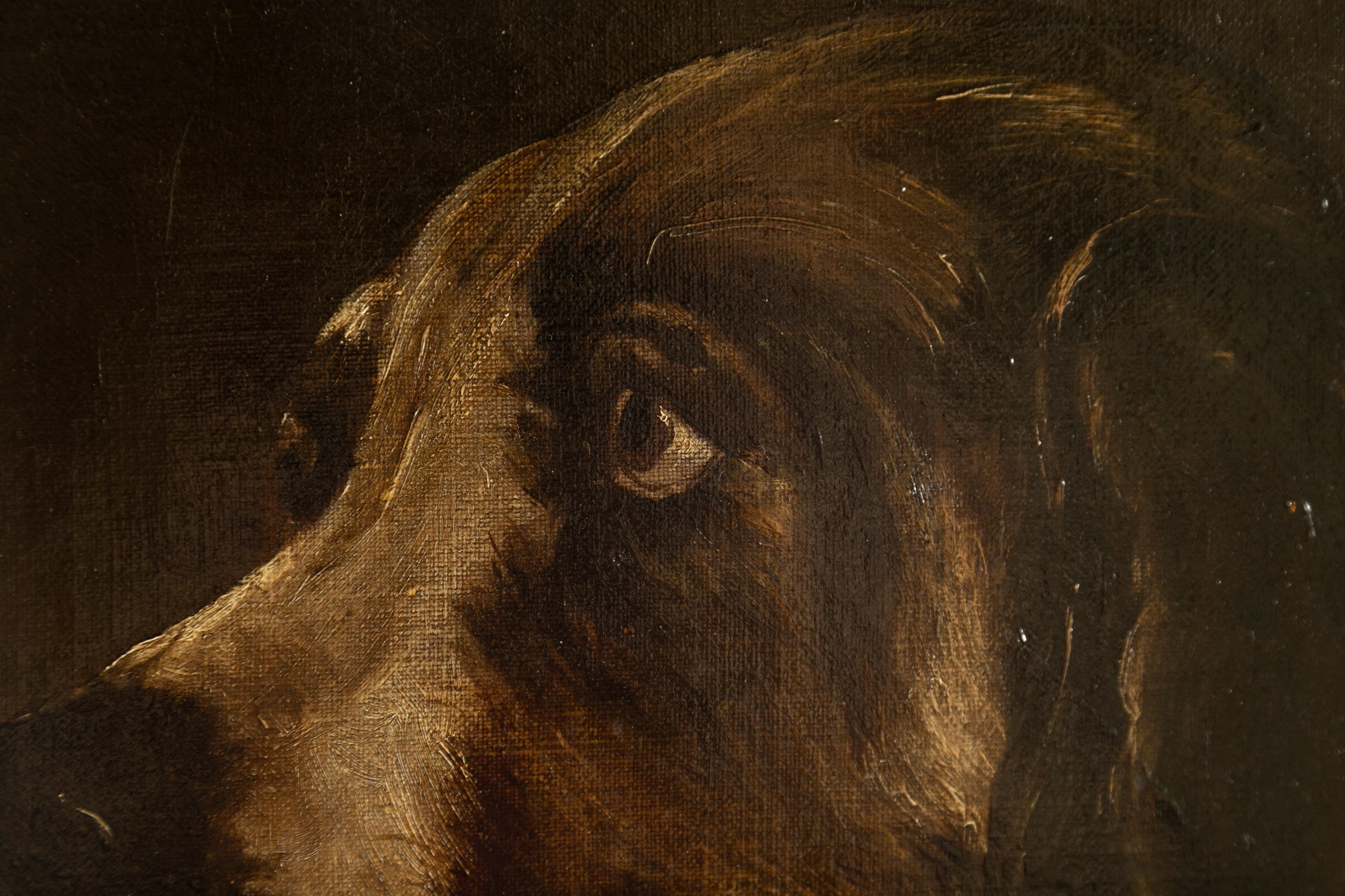 English 1890s Oil on Canvas Dog Painting in Antique Giltwood Frame 1
