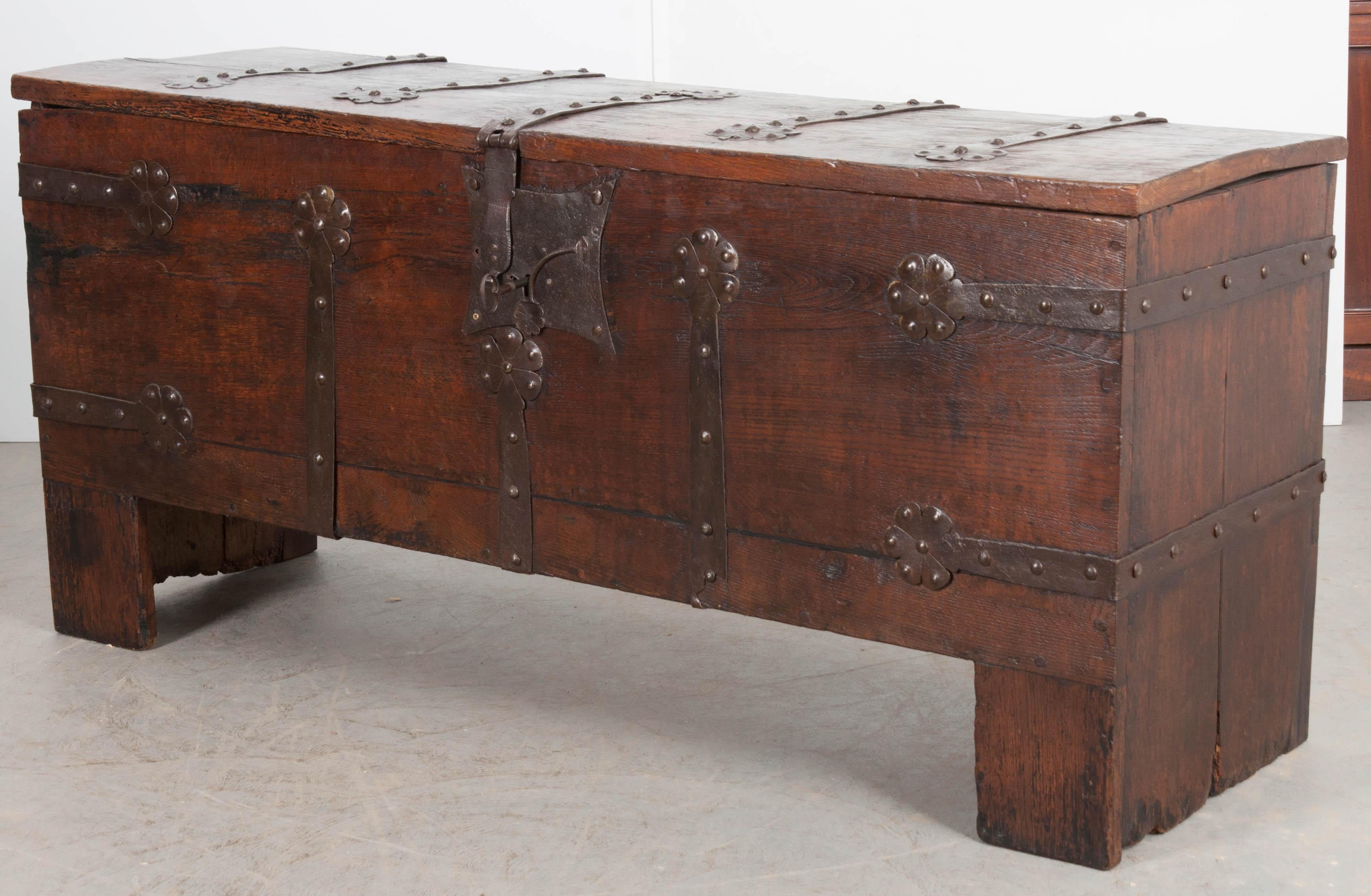 Spanish 18th Century Oak and Iron Bound Trunk 4