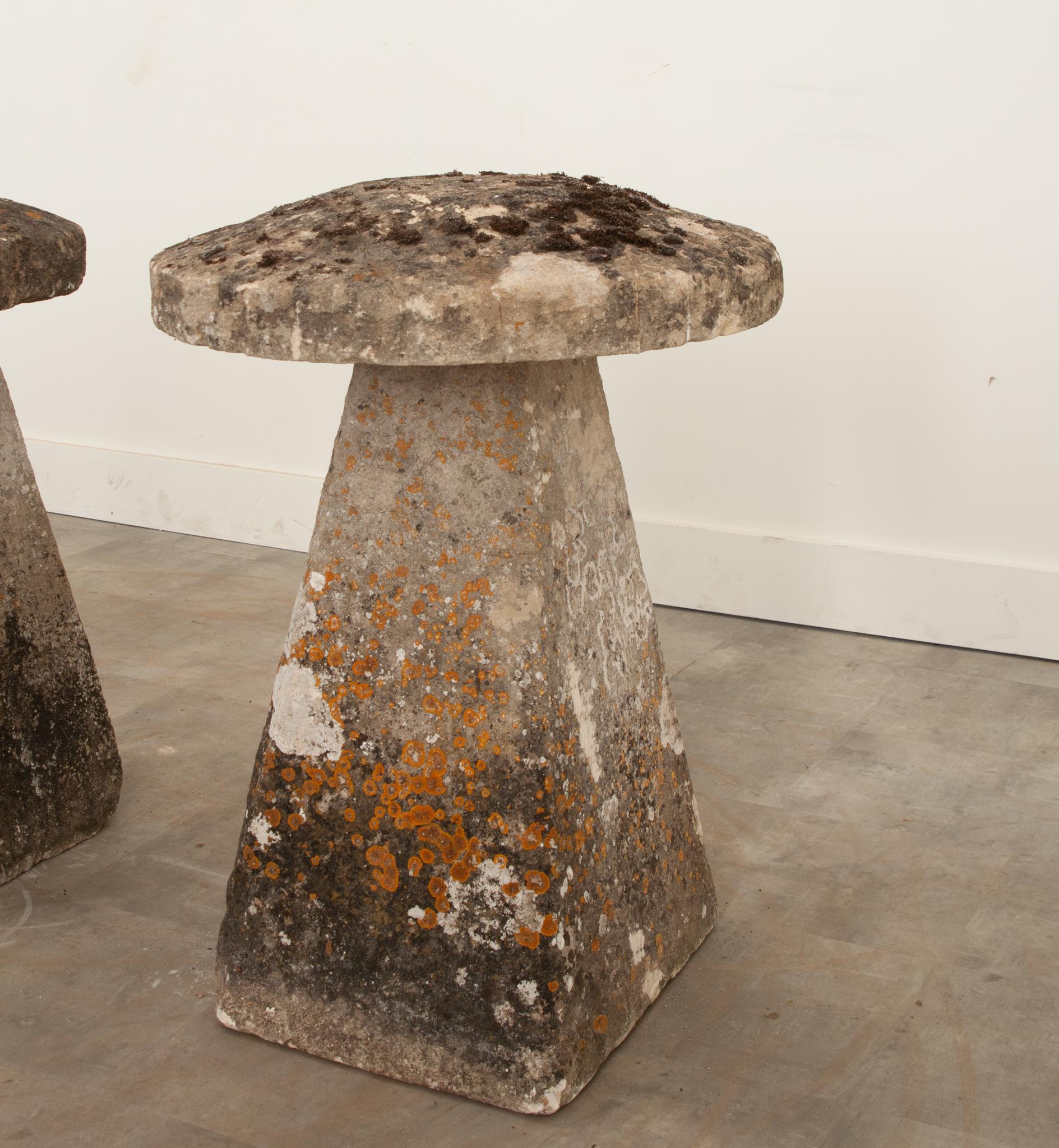 English 18th Century Pair of Staddlestones For Sale 2