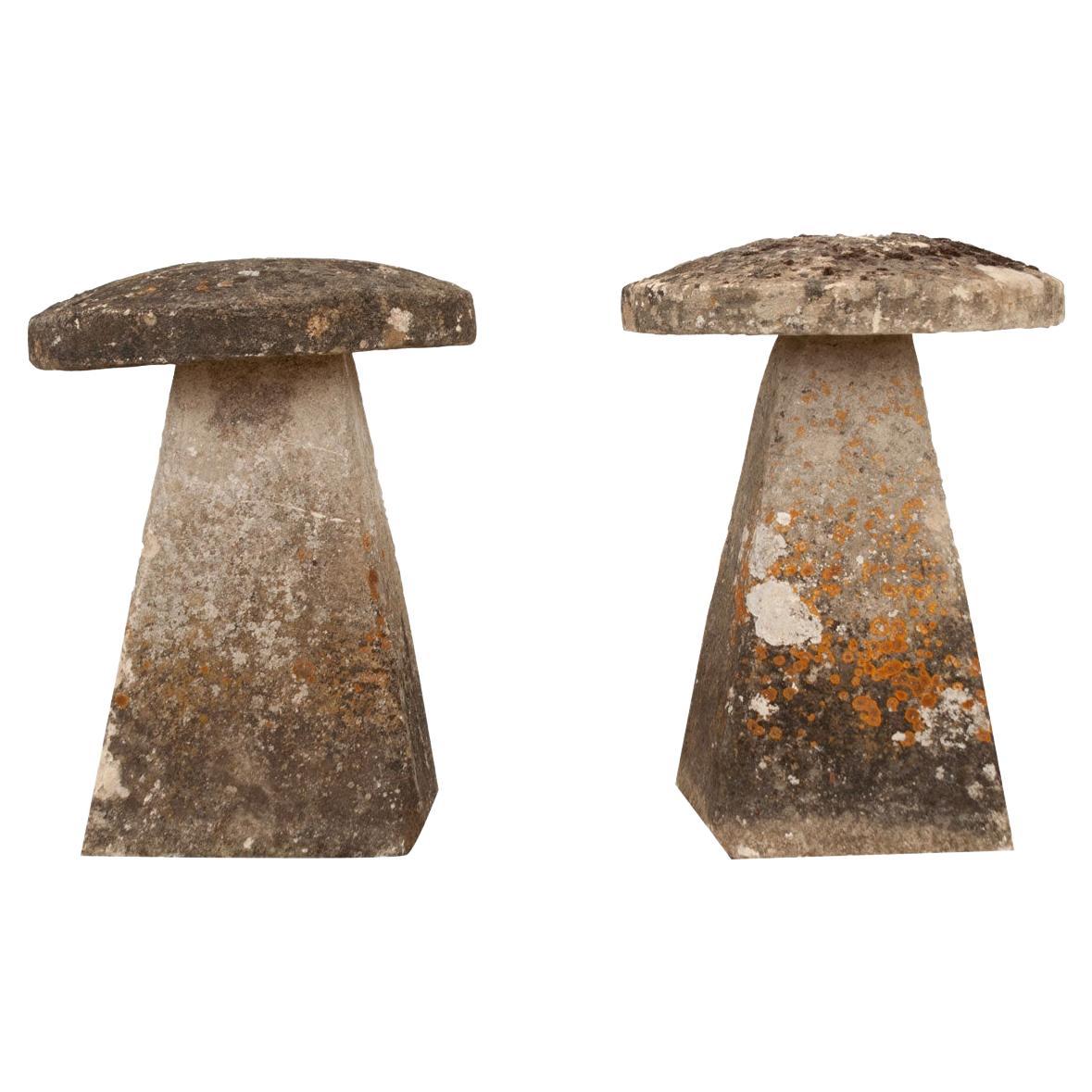 English 18th Century Pair of Staddlestones For Sale