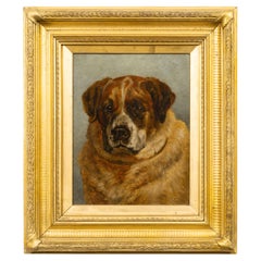 English 1911 Oil on Board Portrait of a Saint Bernard, Signed H. Blackburn