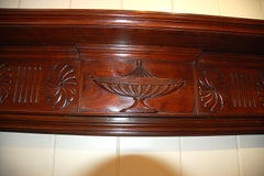 English 19th Century Adam Style Carved Mahogany Fireplace Surround and Mantel