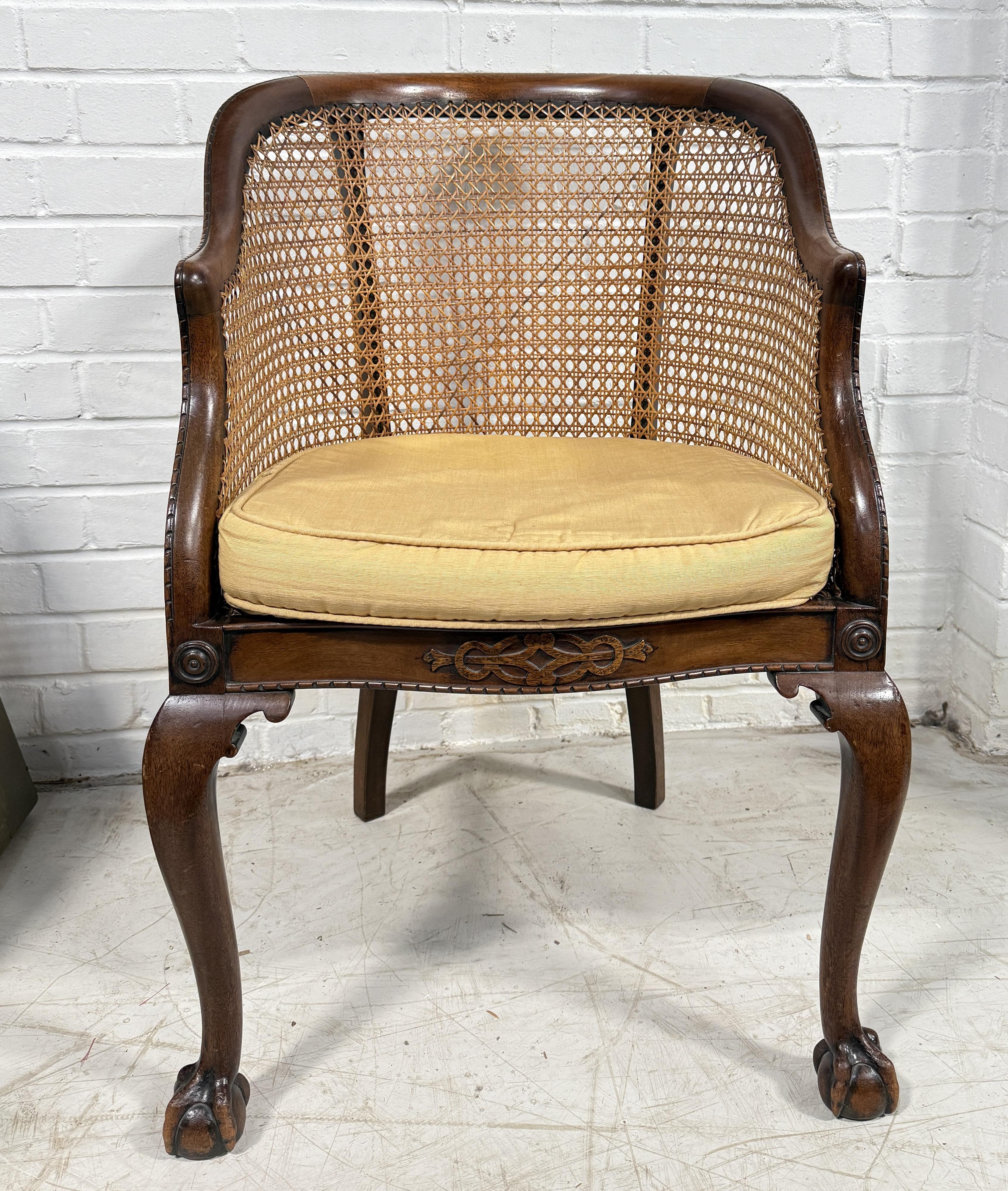 English 19th Century Antique Mahogany Cane Bergere Armchair On Claw & Ball Feet (Englisch) im Angebot