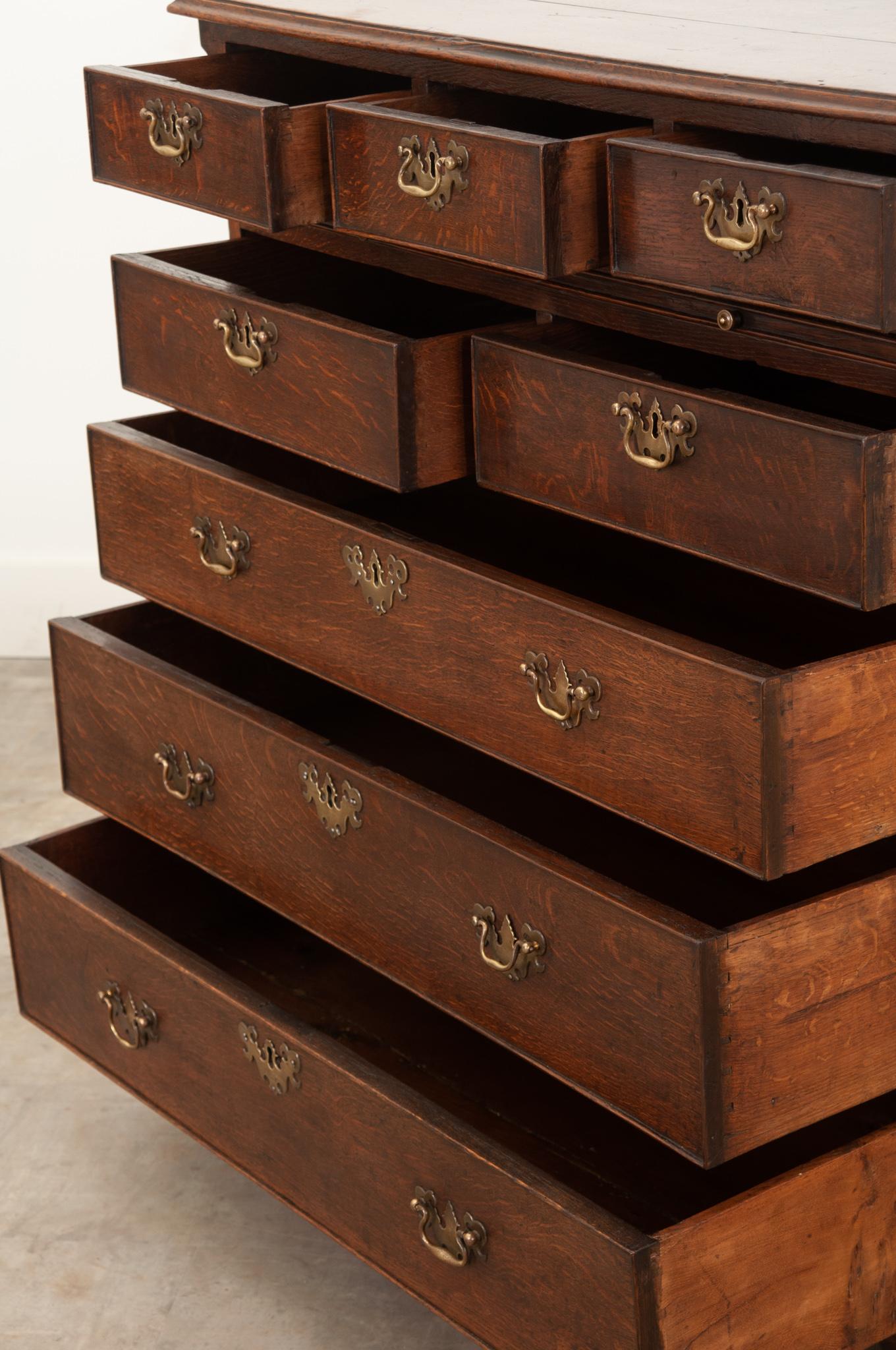 English 19th Century Bachelors Chest For Sale 1