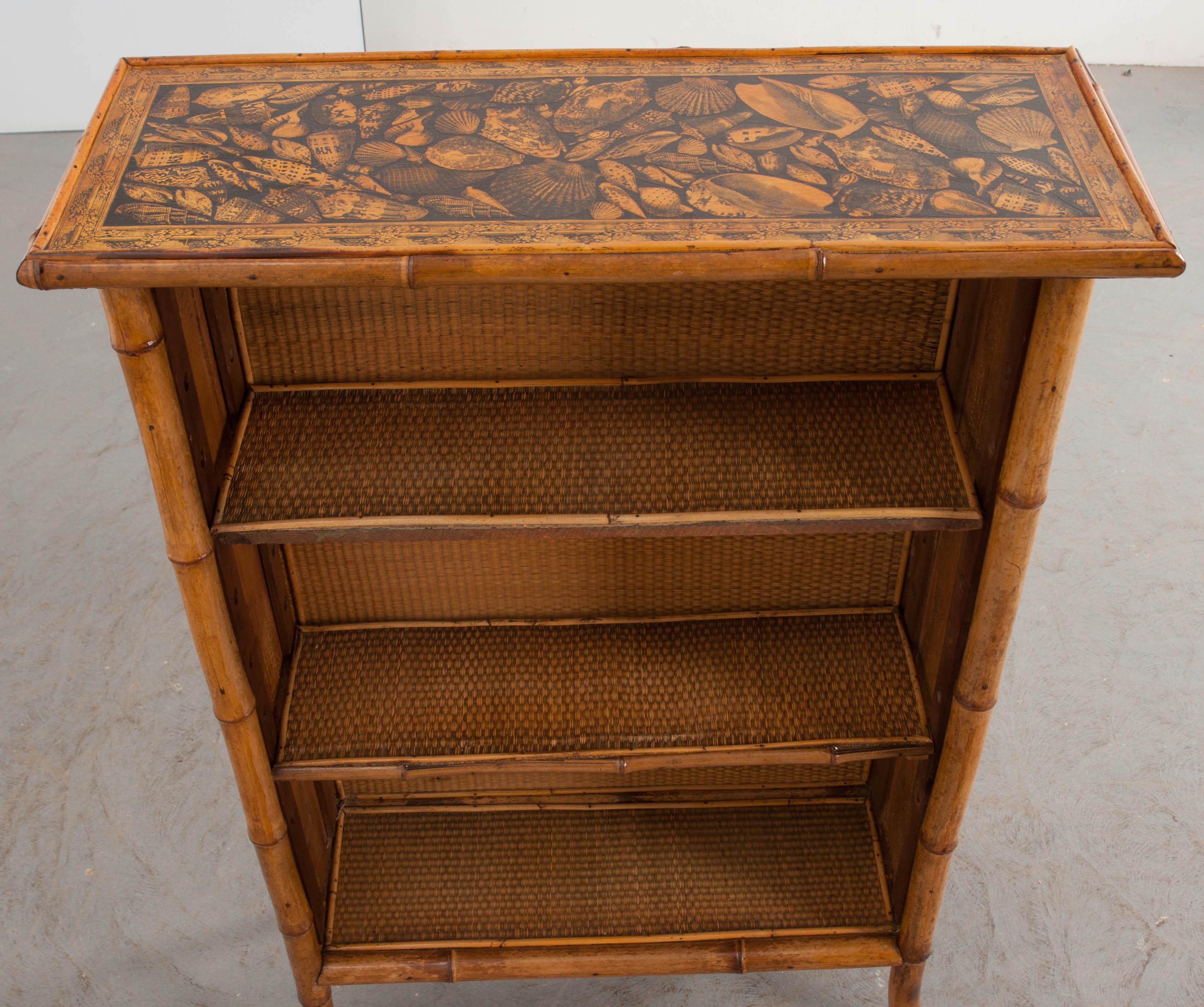 English 19th Century Bamboo Découpage Shell Bookcase In Good Condition In Baton Rouge, LA