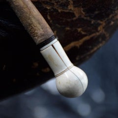 English 19th Century Bulls Pizzle Whip